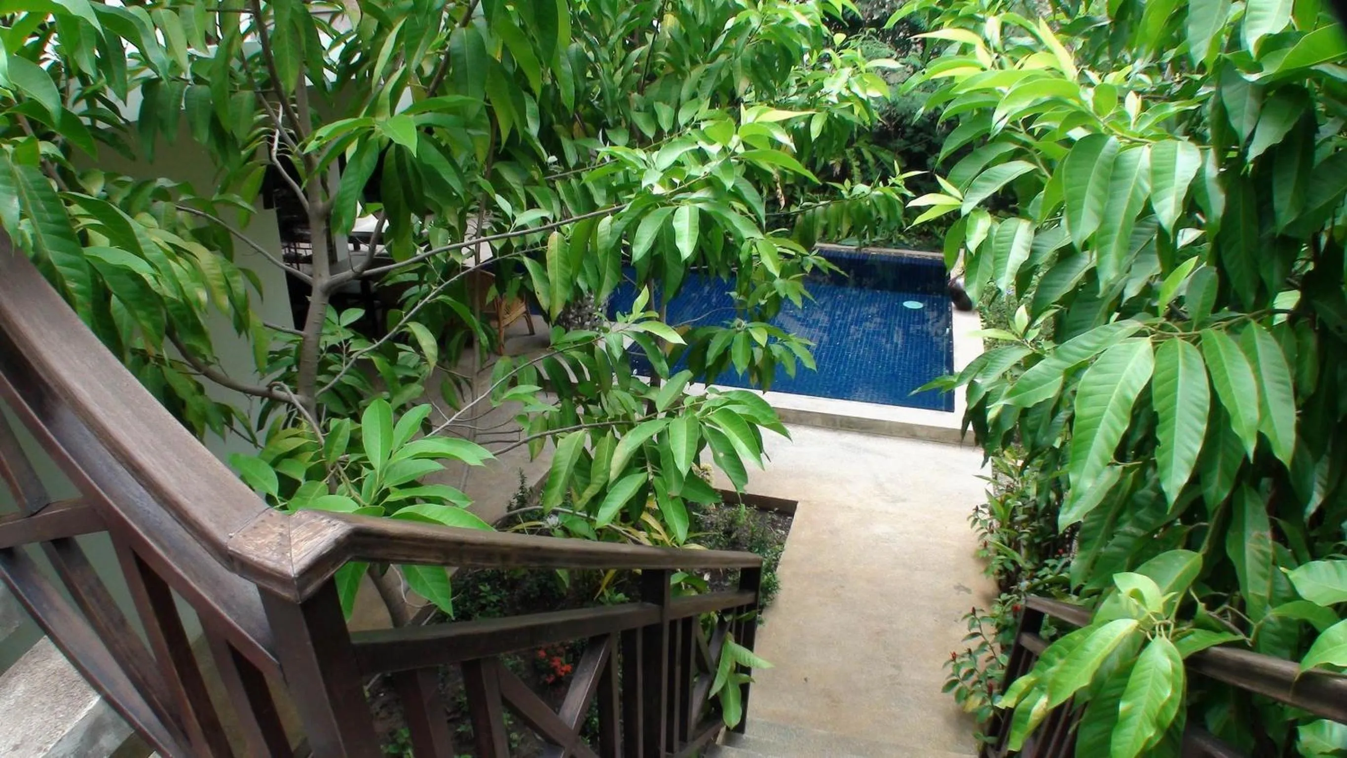 Pool view in Enkosa 4-Bedroom Wooden Luxury House