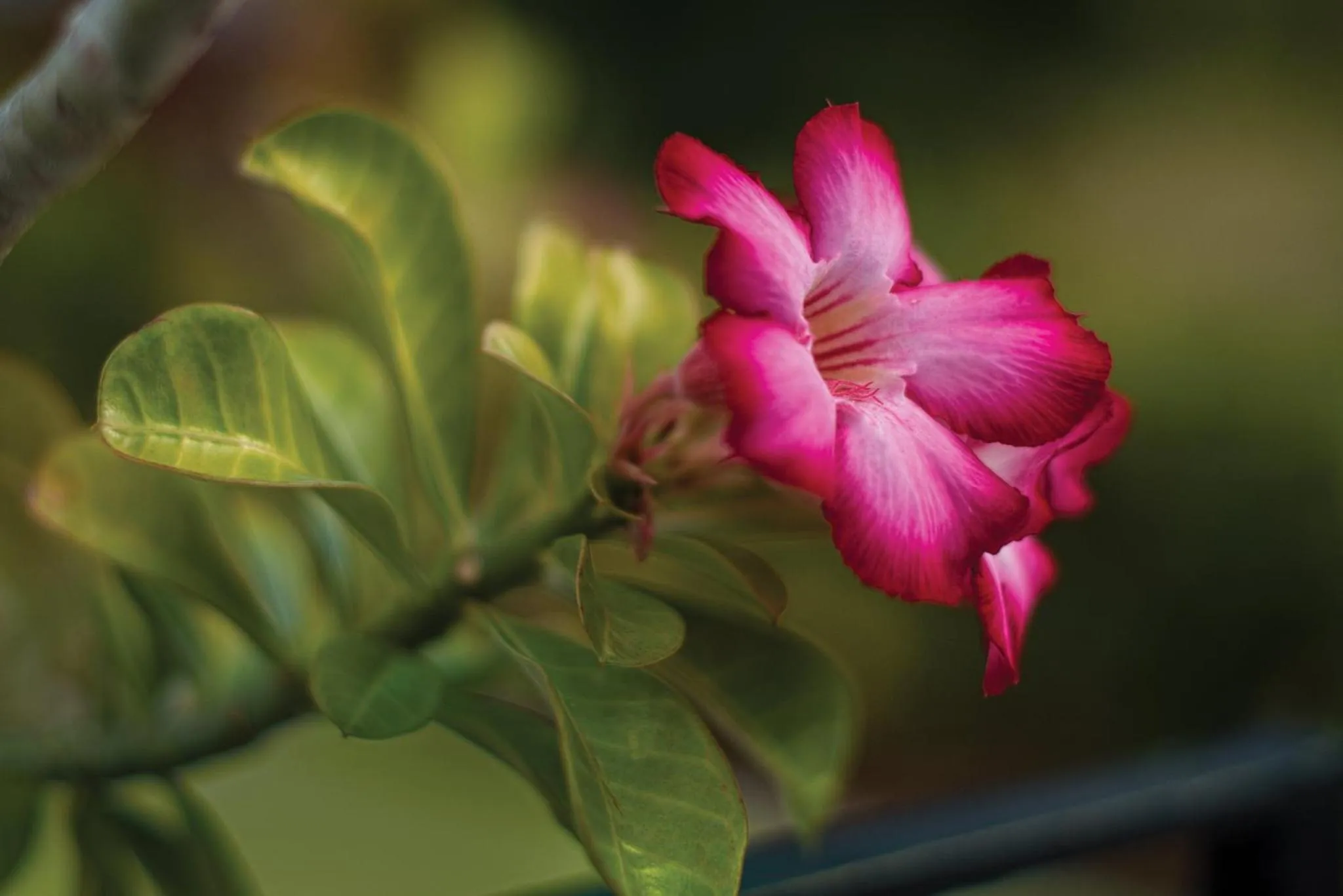 Other in Limetree Beach Resort by Club Wyndham