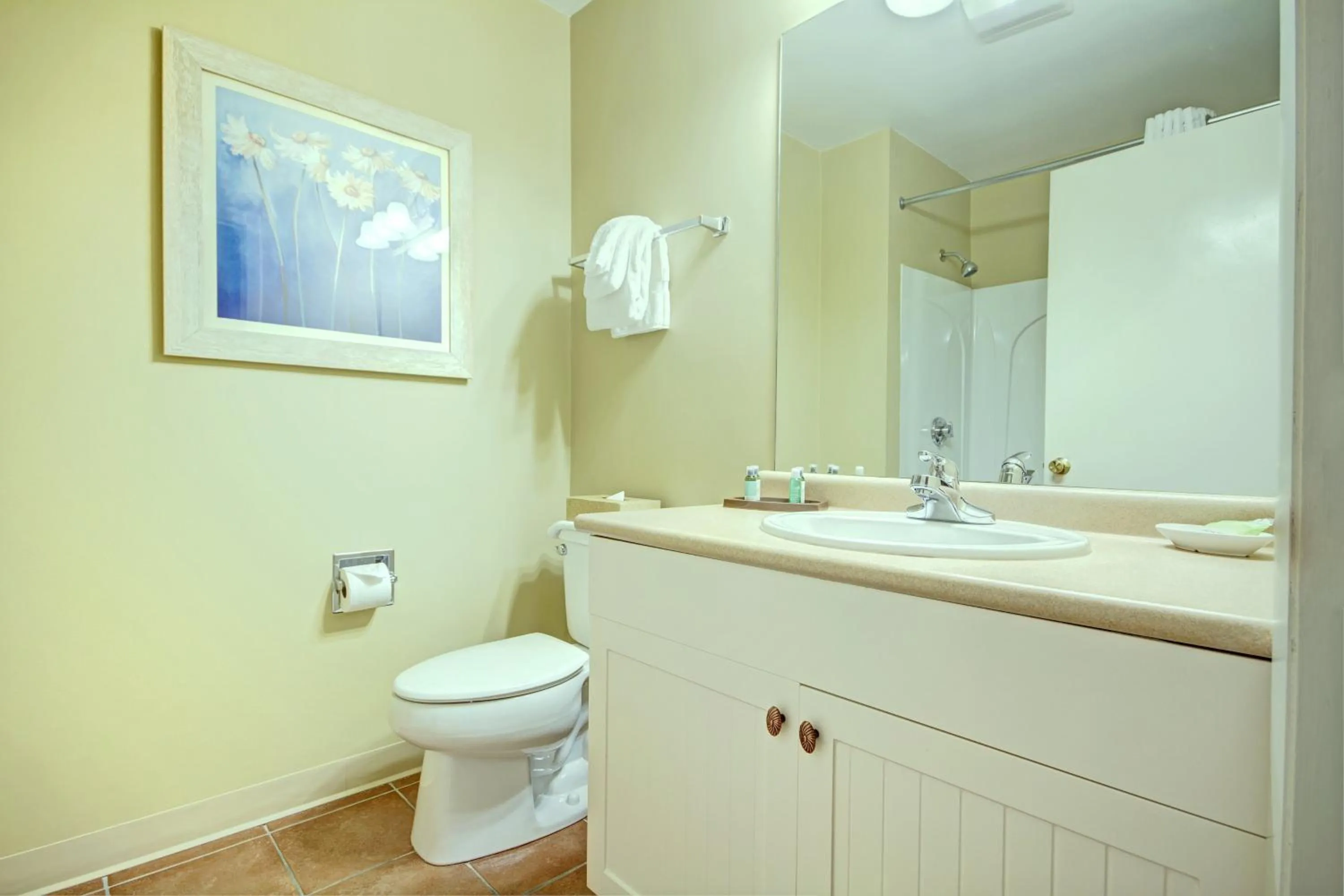 Bathroom in Club Wyndham Newport Overlook
