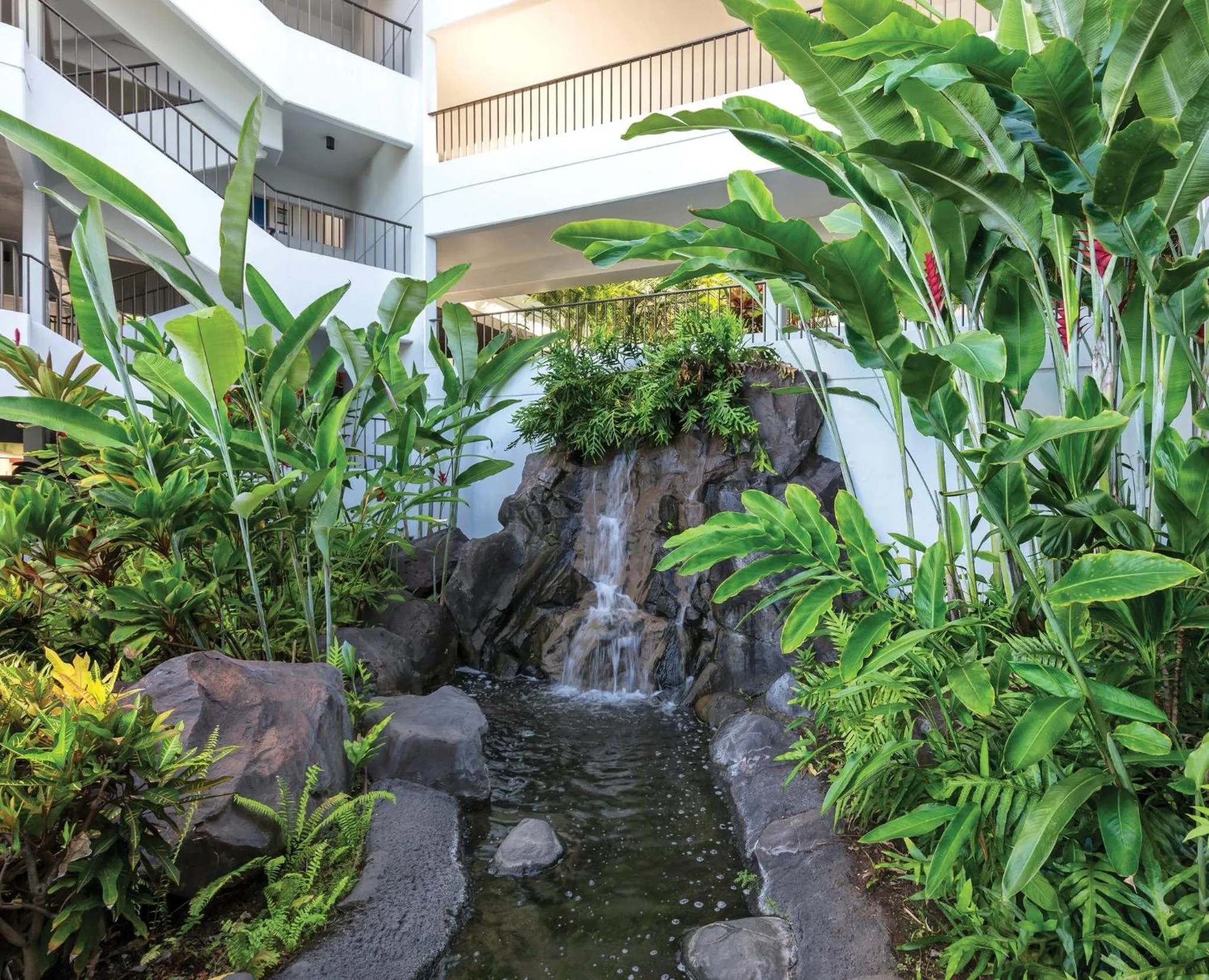 Other in Wyndham Royal Sea Cliff Resort