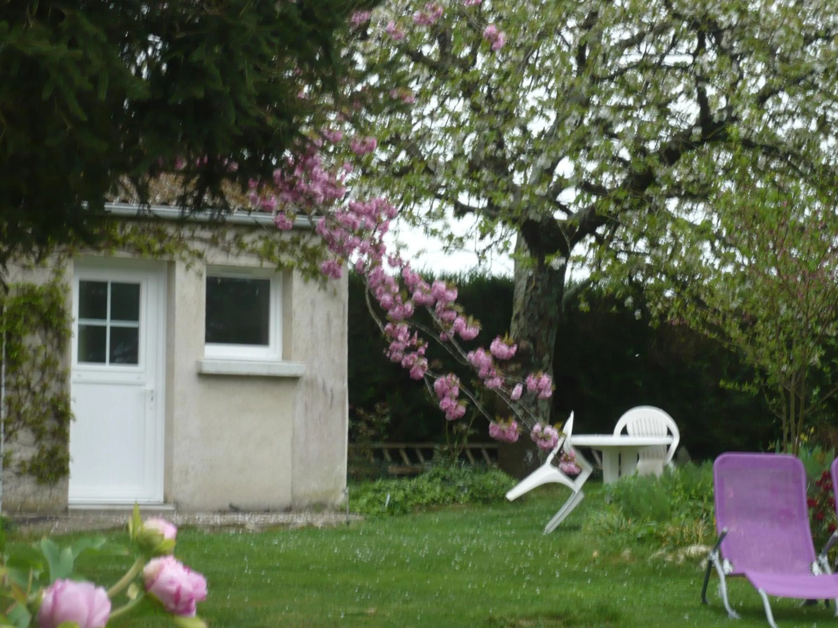 Garden in Chambres D'hôtes Anne-Marie
