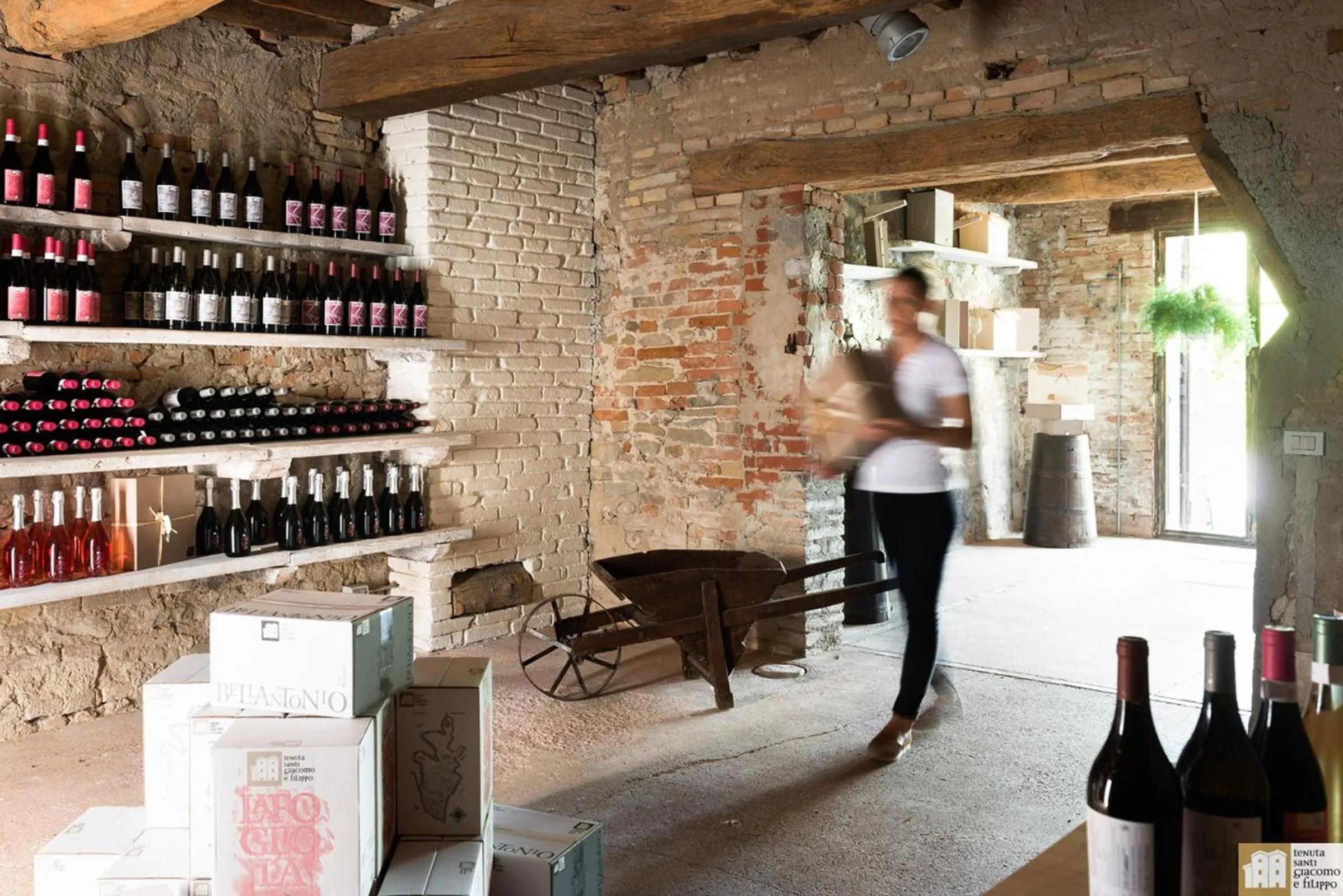 On-site shops in Tenuta Santi Giacomo e Filippo