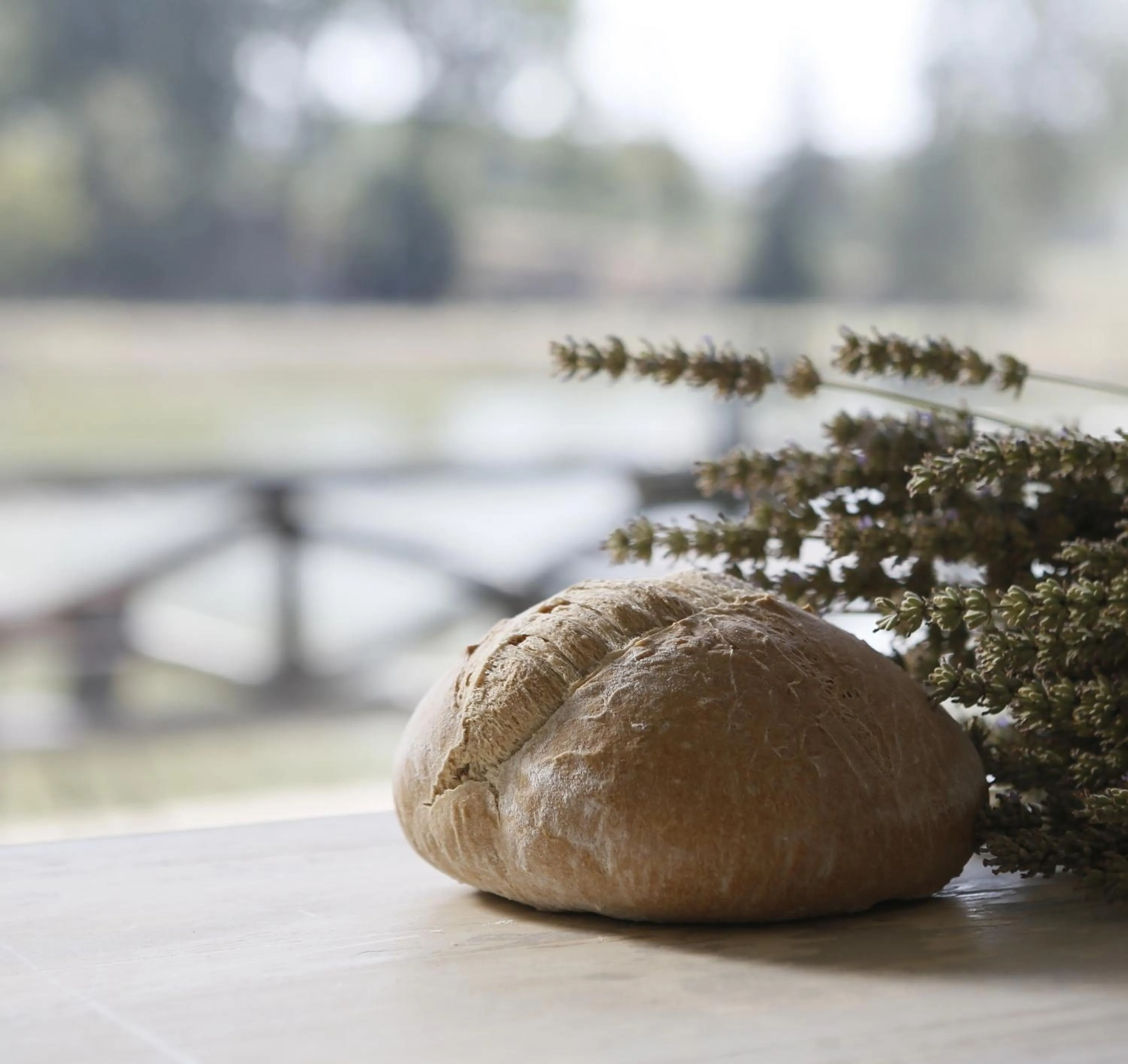 Restaurant/places to eat in Tenuta Santi Giacomo e Filippo