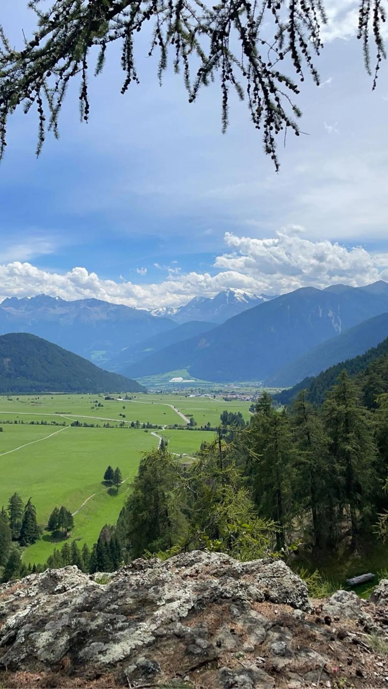 Activities in Pension Florian