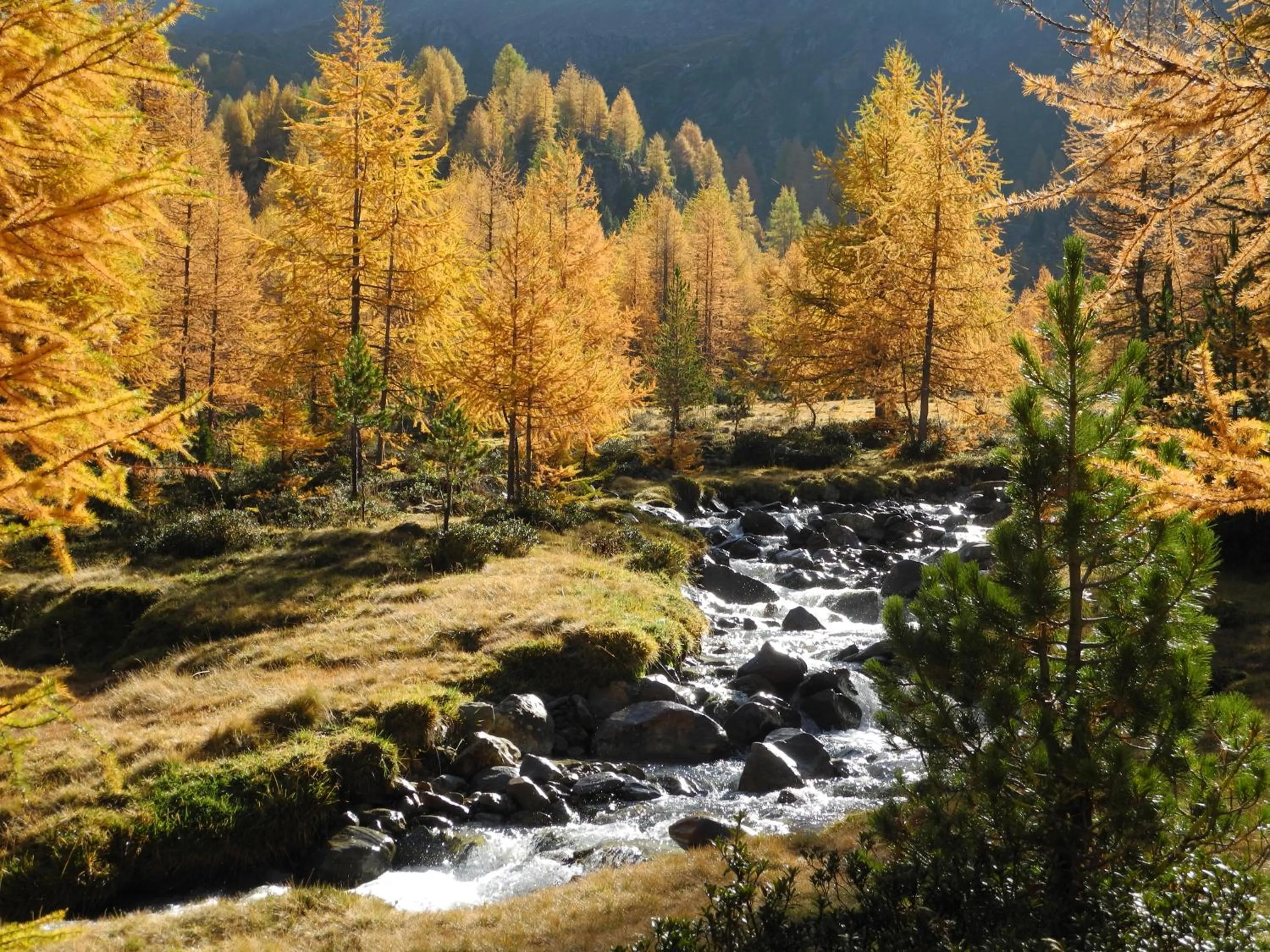 Natural landscape in Pension Florian