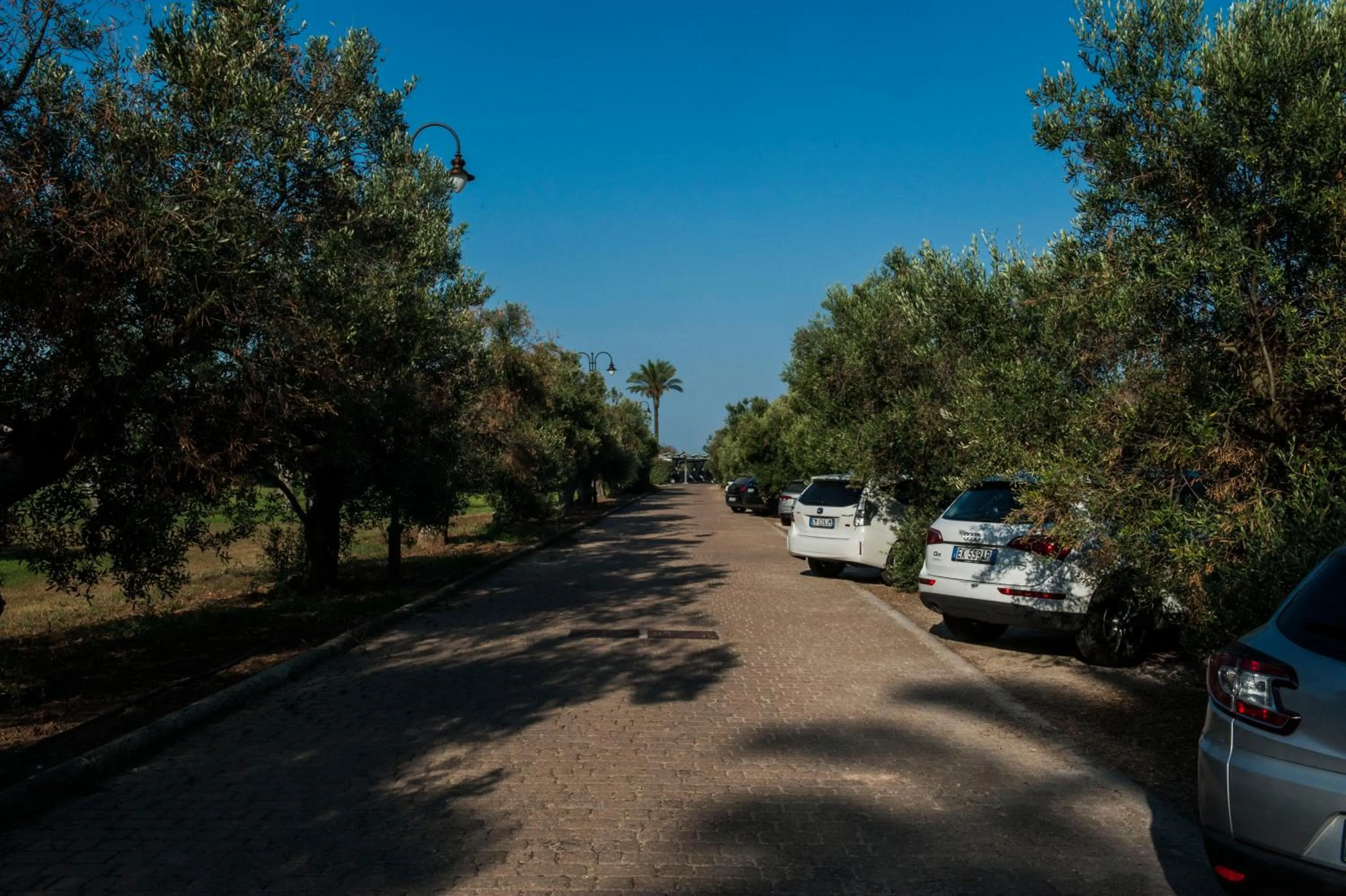 Area and facilities in AmareGold Tenuta La Baronessa Resort