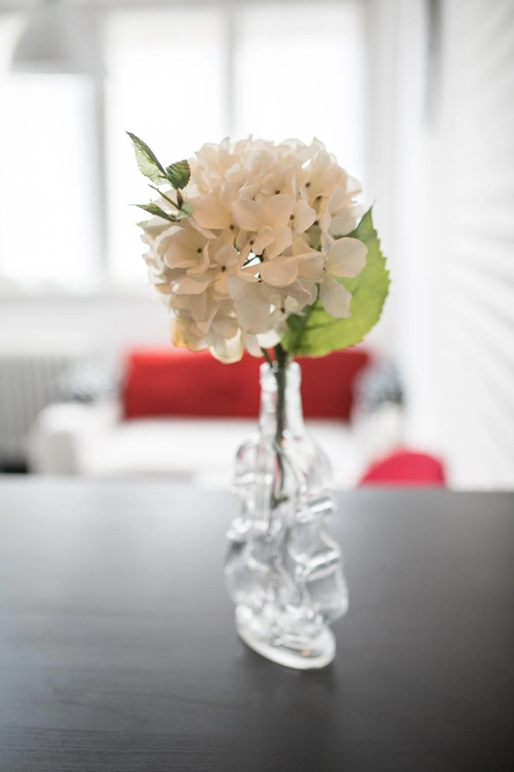 Decorative detail in The Dots Hostel