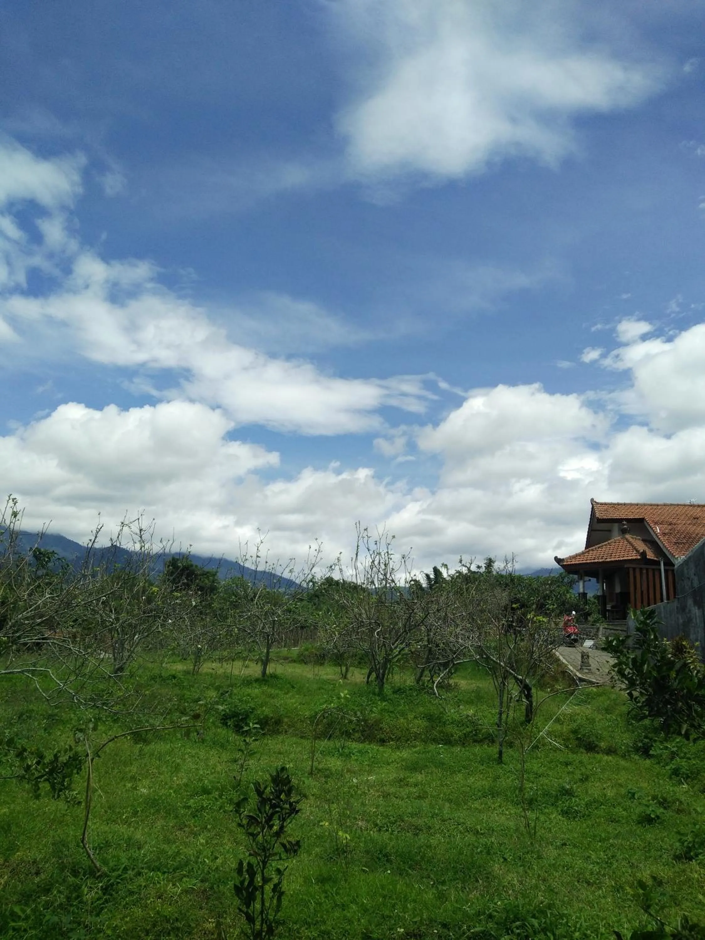 Natural landscape in Shanty's House