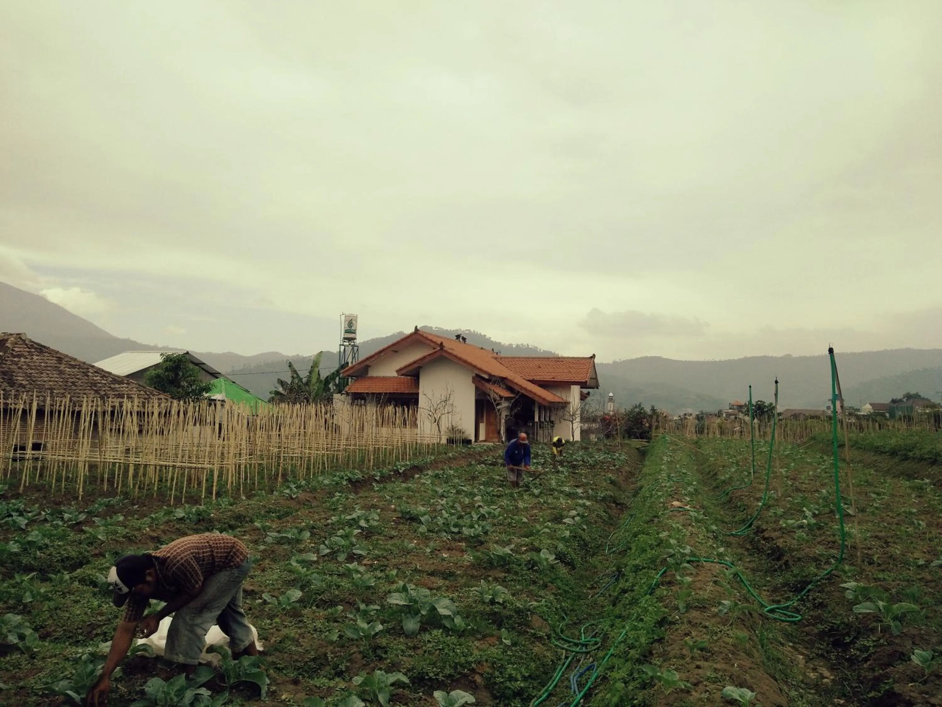 People in Shanty's House