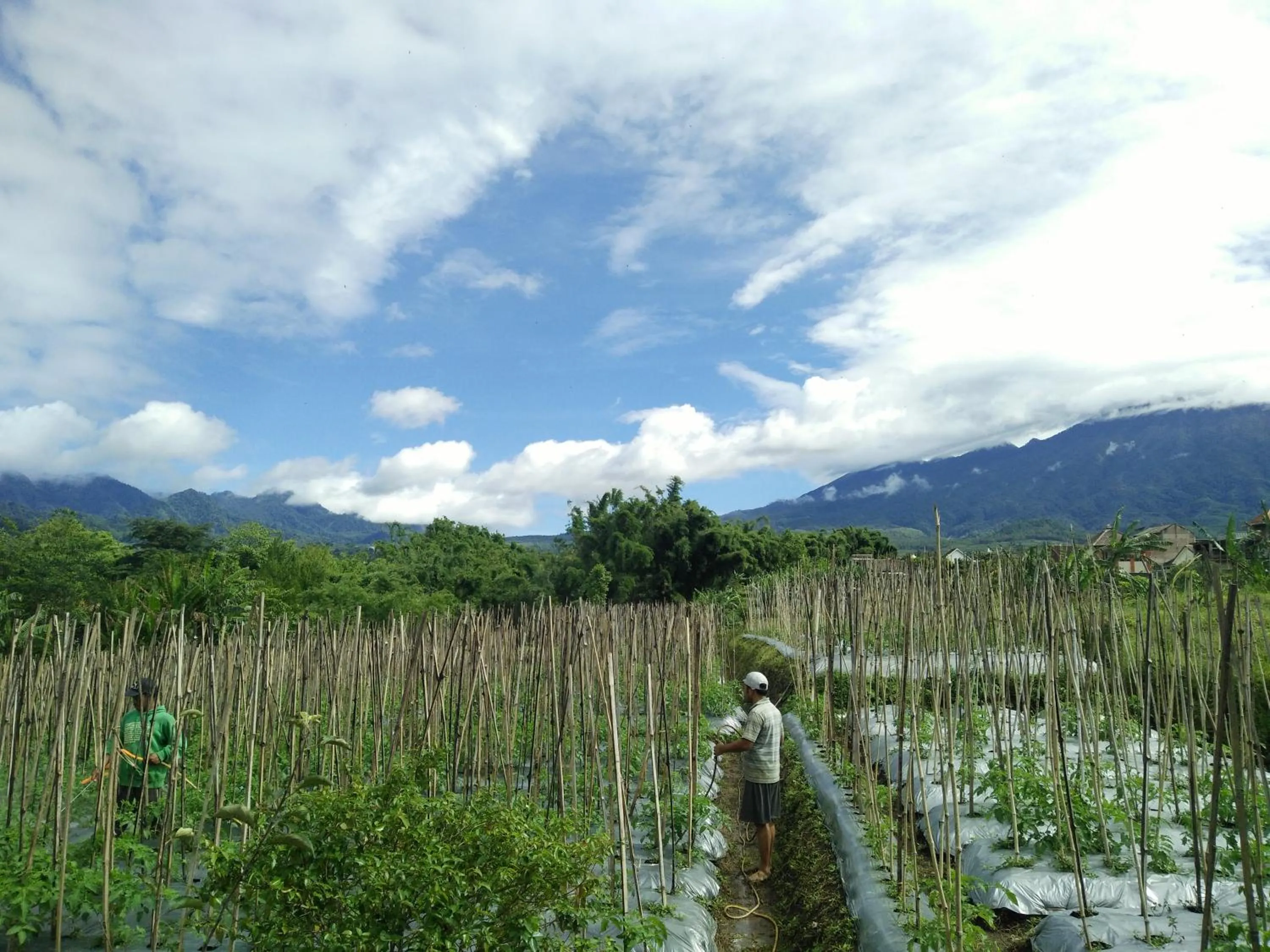 Neighbourhood in Shanty's House