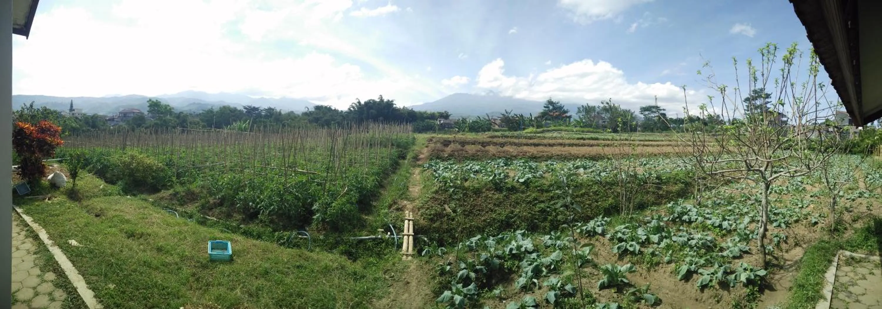 Mountain view in Shanty's House