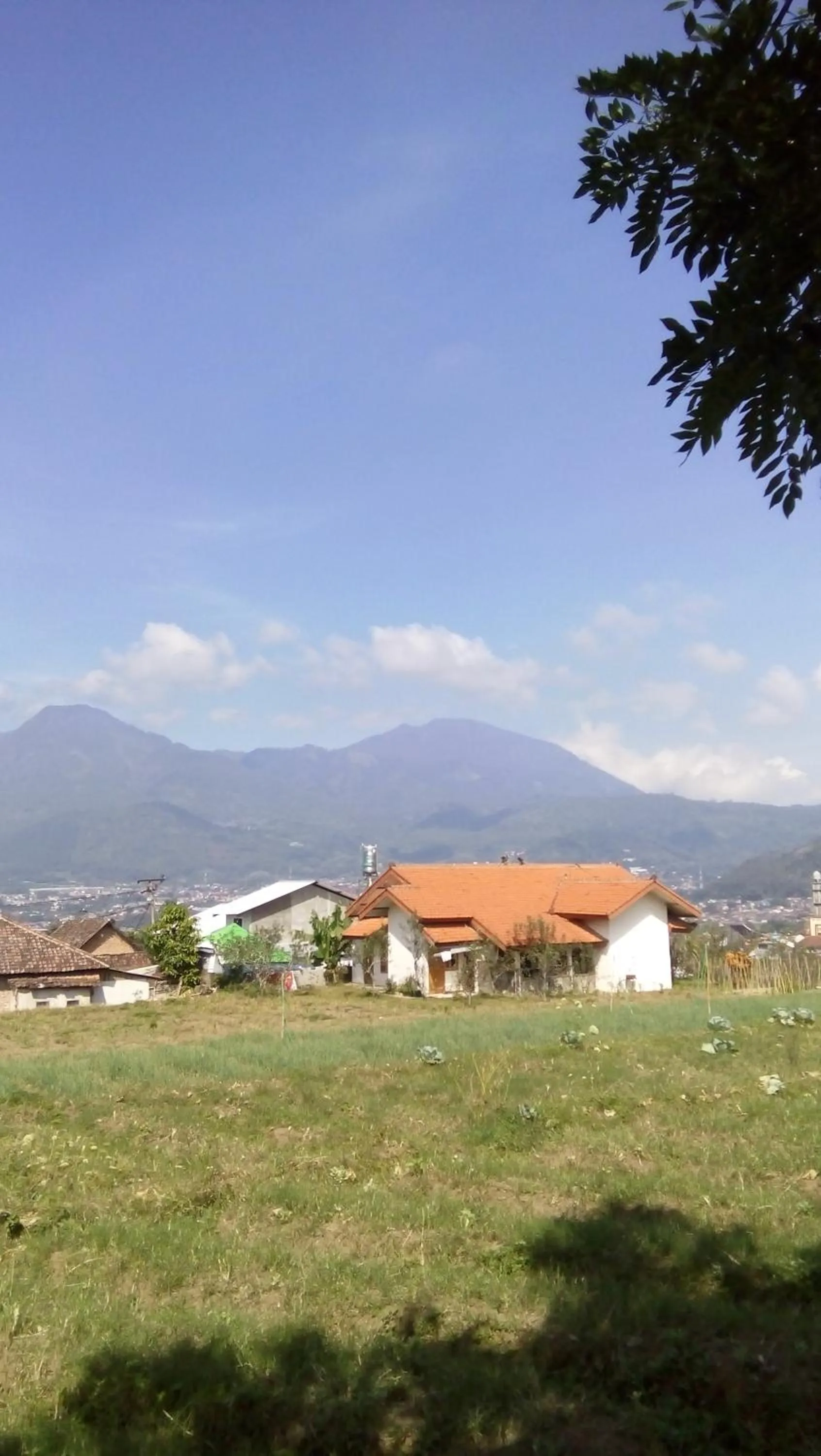 Natural landscape in Shanty's House