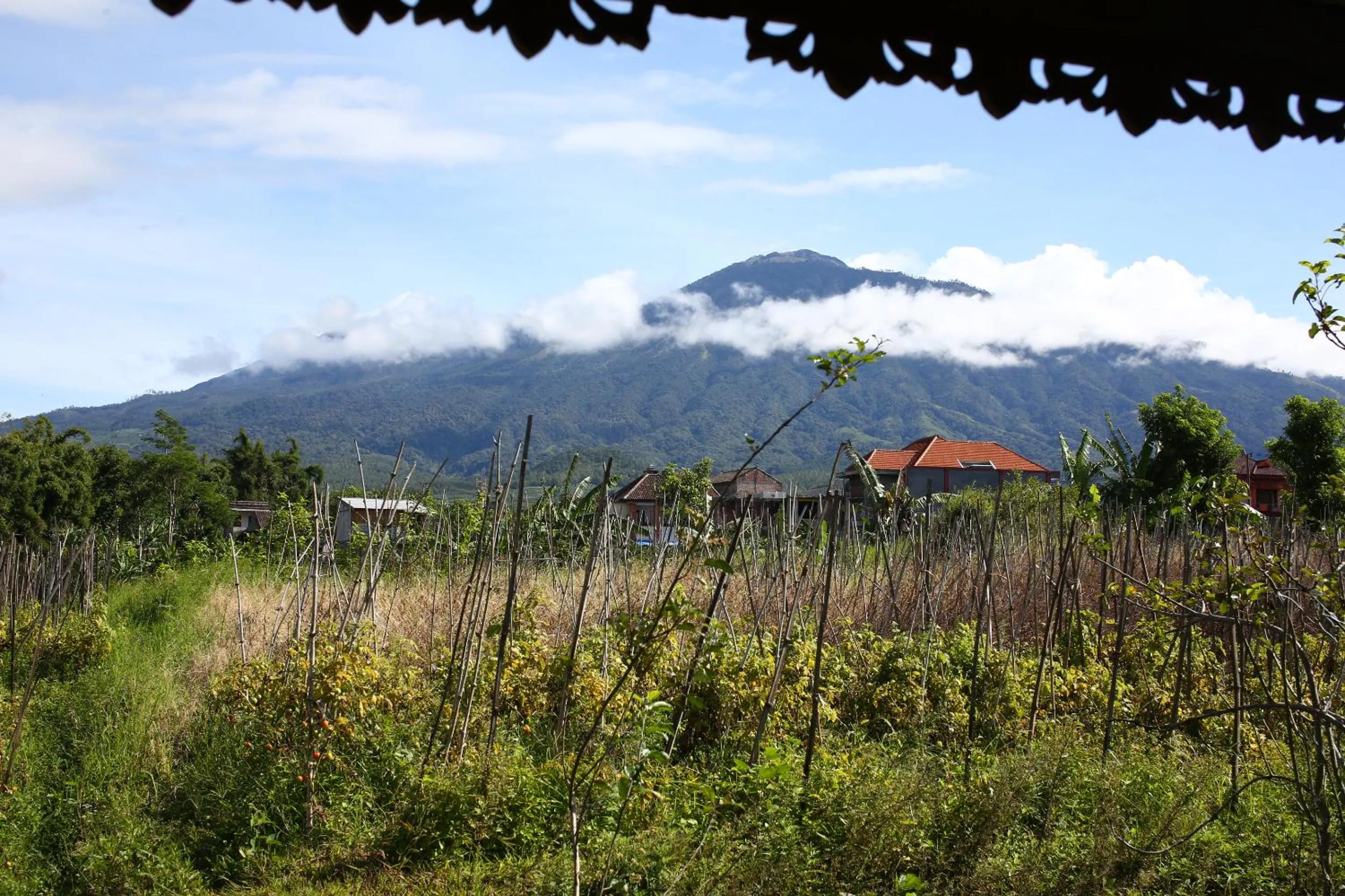 Natural landscape in Shanty's House