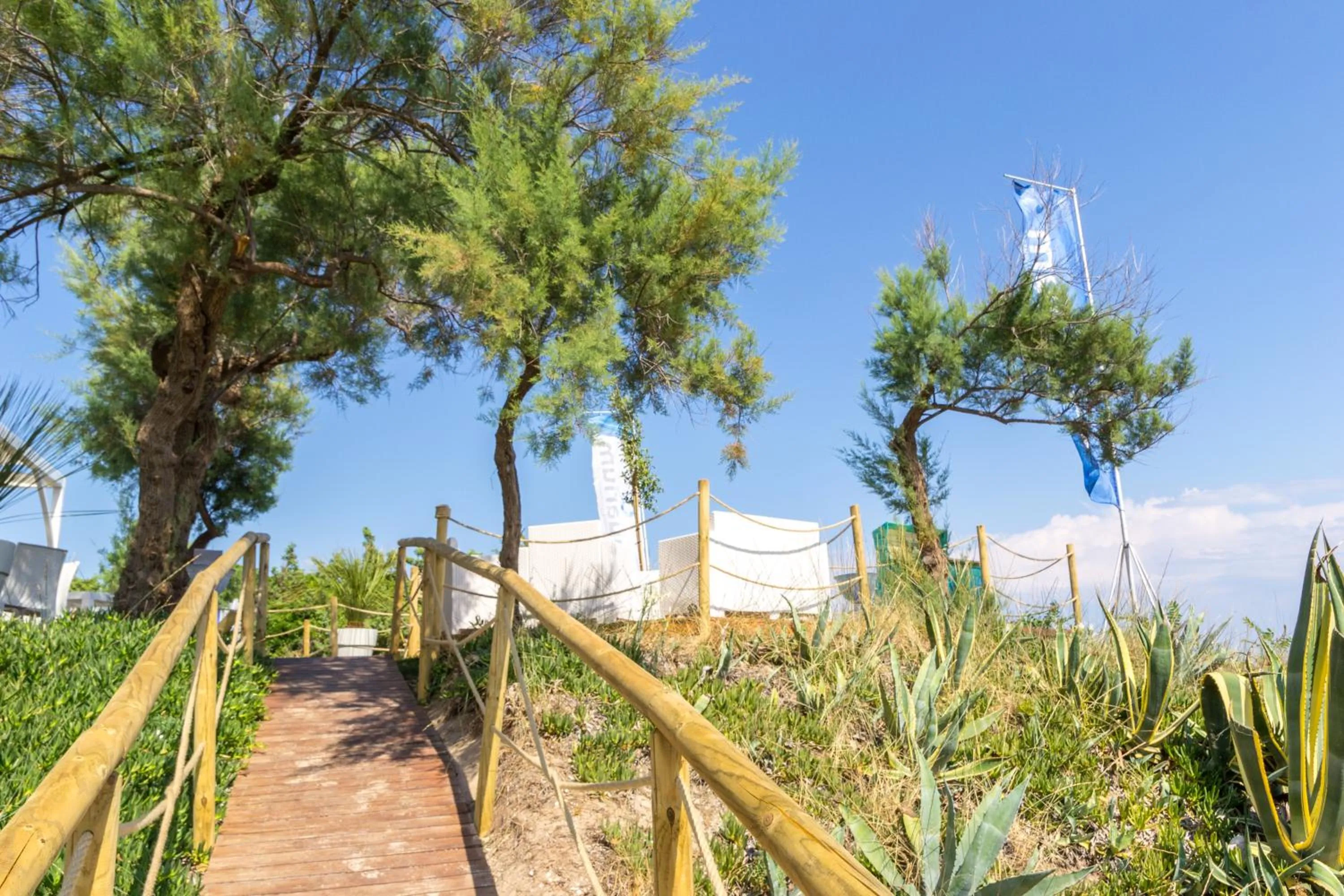 Patio in Aquarium Residence
