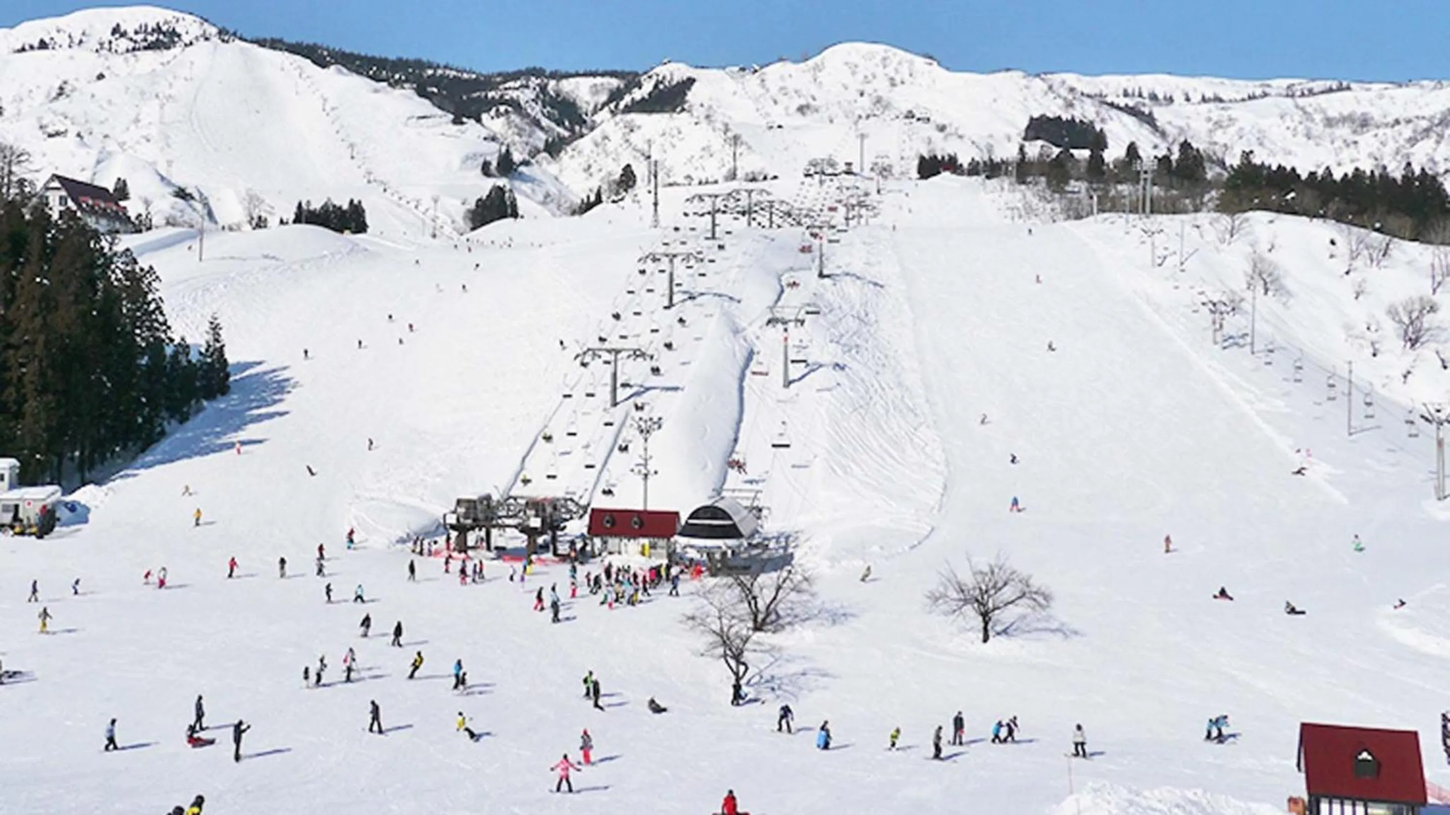 Skiing in Hotel Green Plaza Joetsu