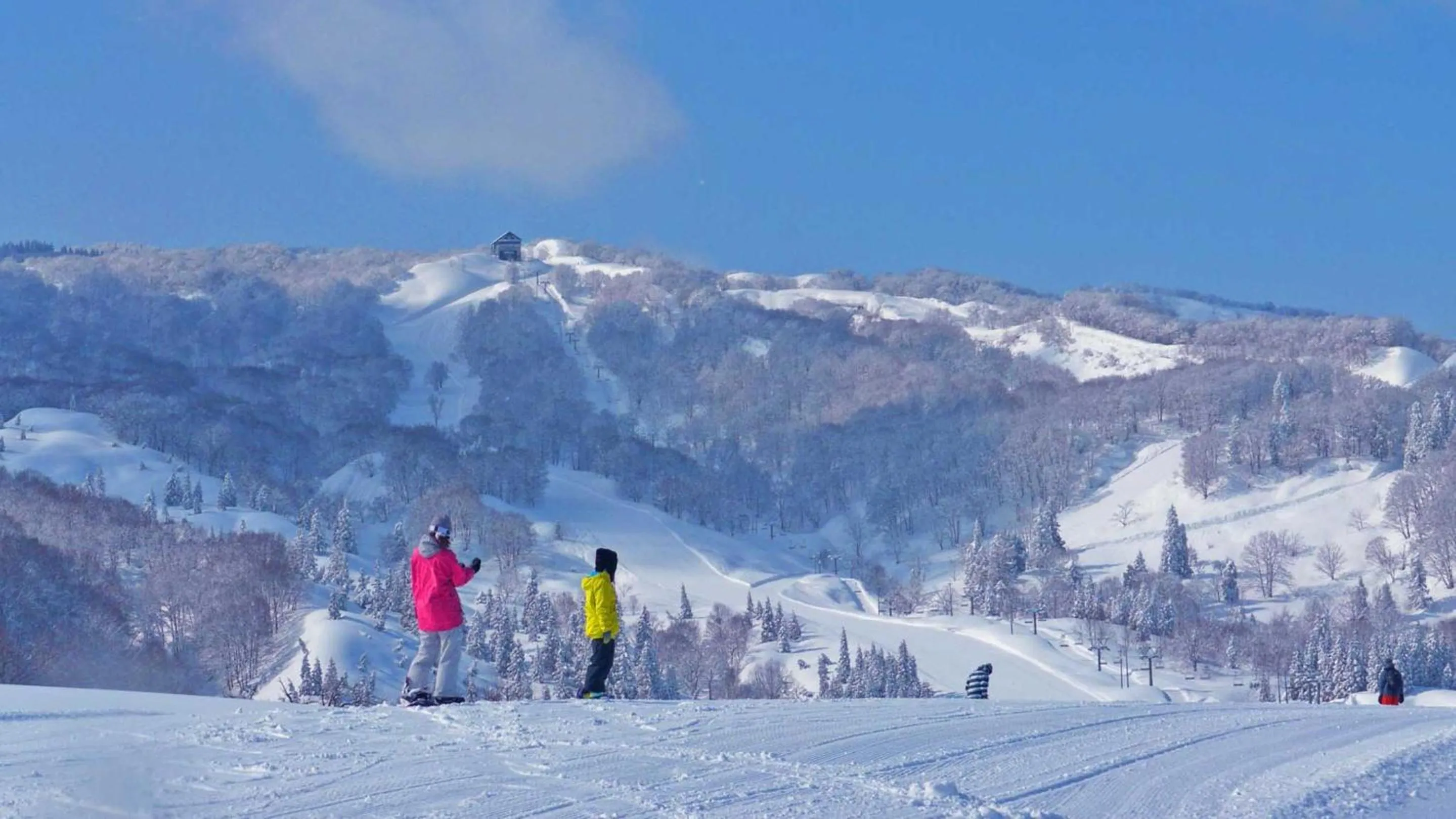 Skiing in Hotel Green Plaza Joetsu