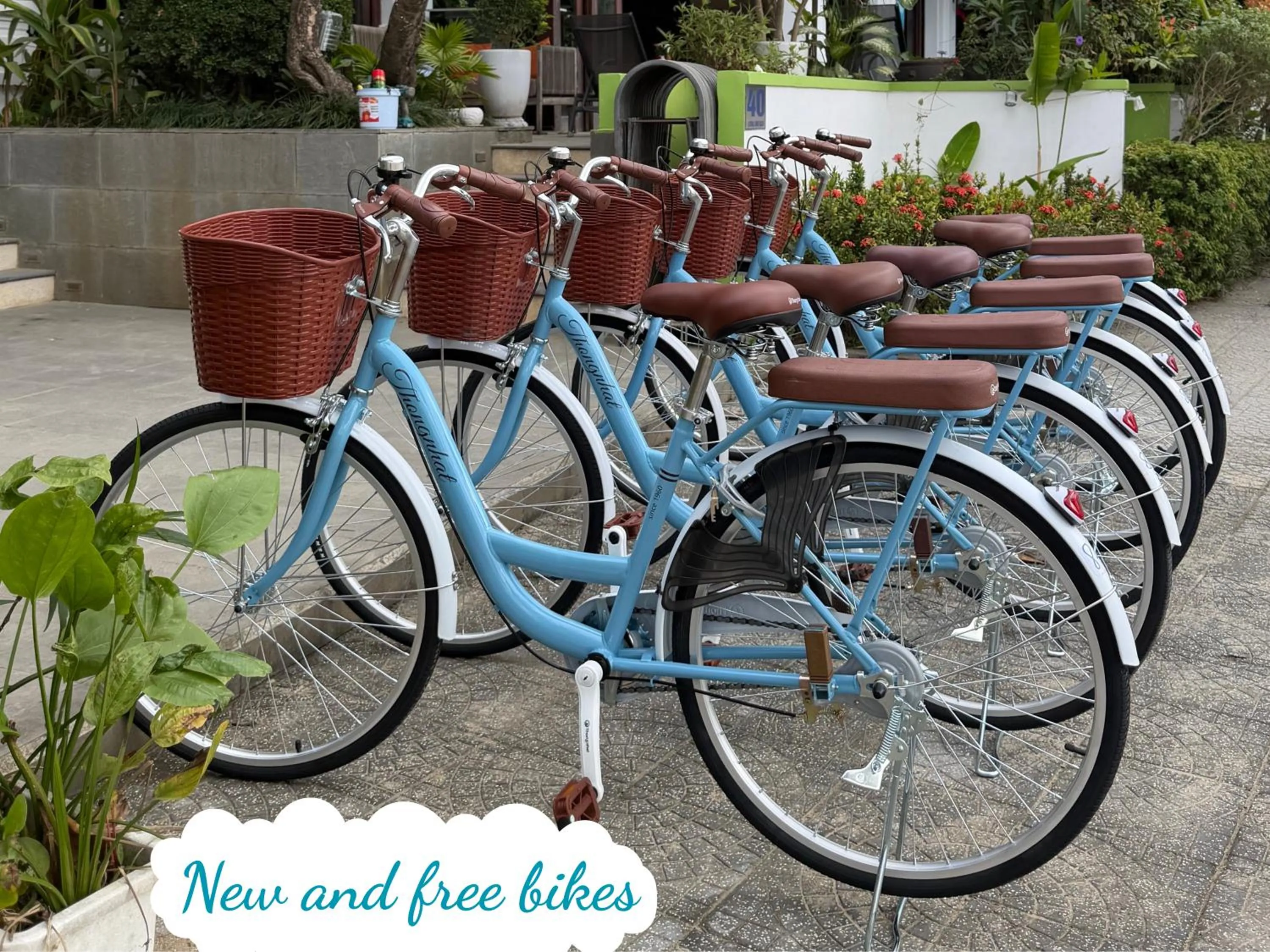 Activities in Hoi An Odyssey Hotel & Spa