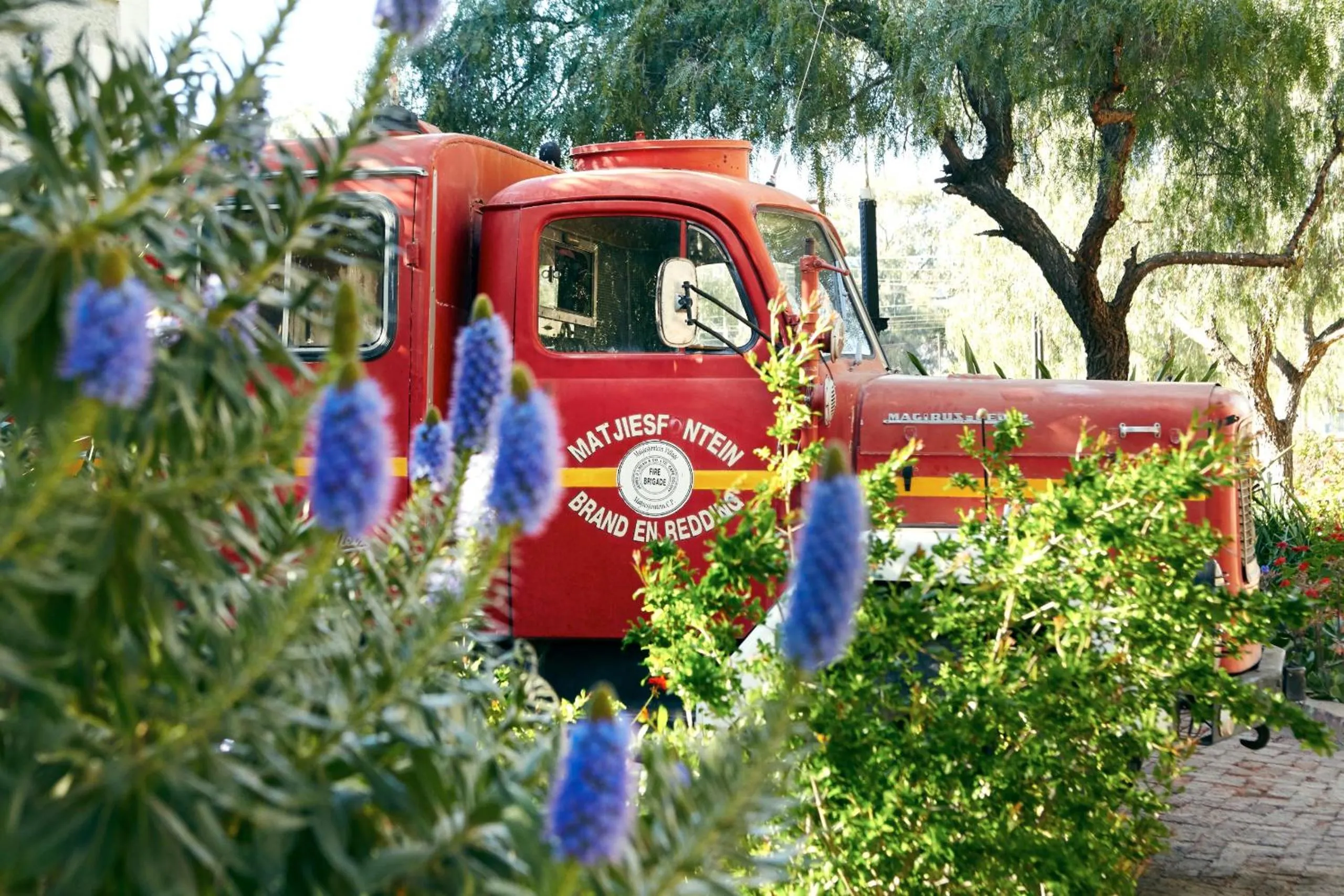 Area and facilities in Lord Milner Hotel