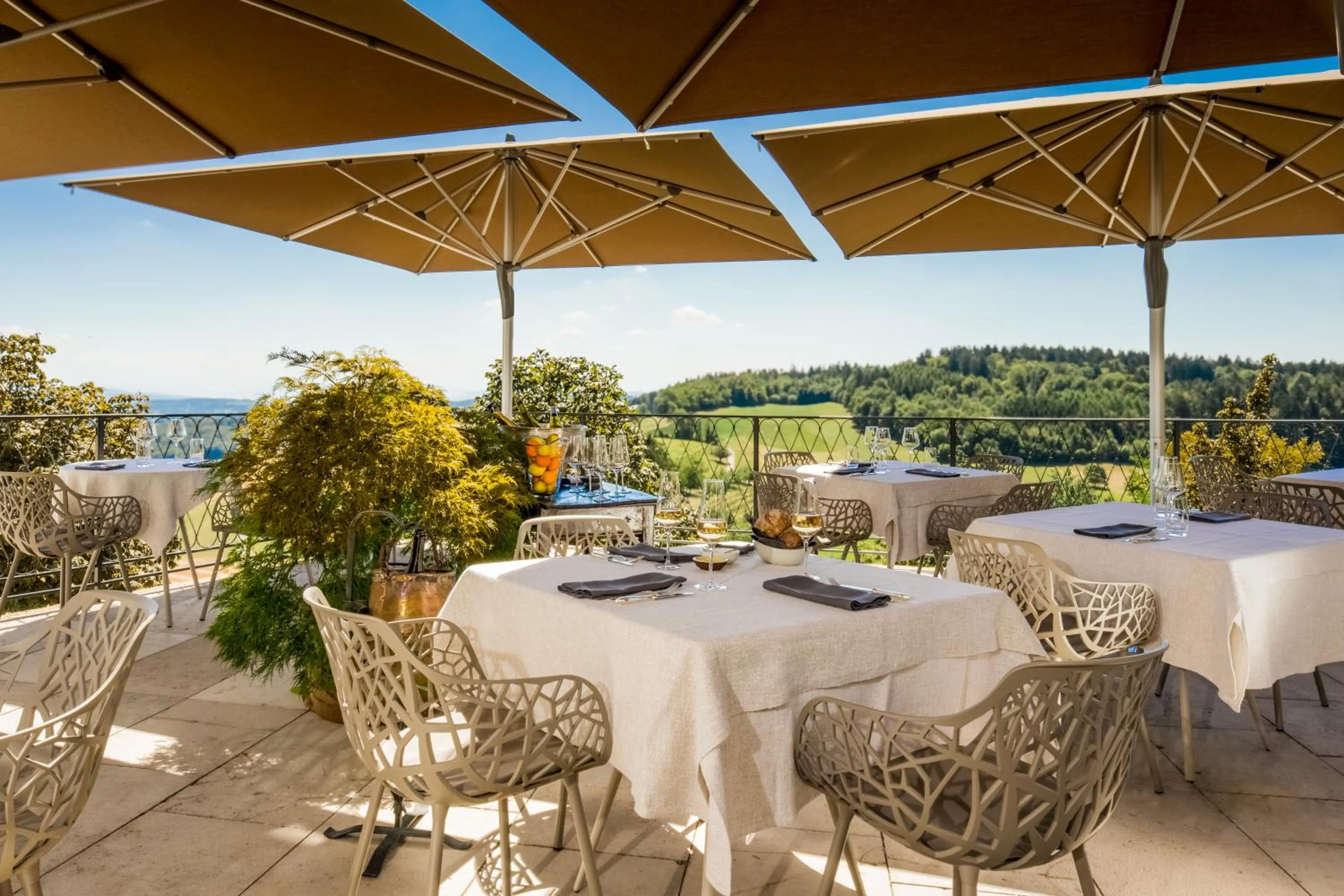 Balcony/Terrace in Hotel Krone Regensberg