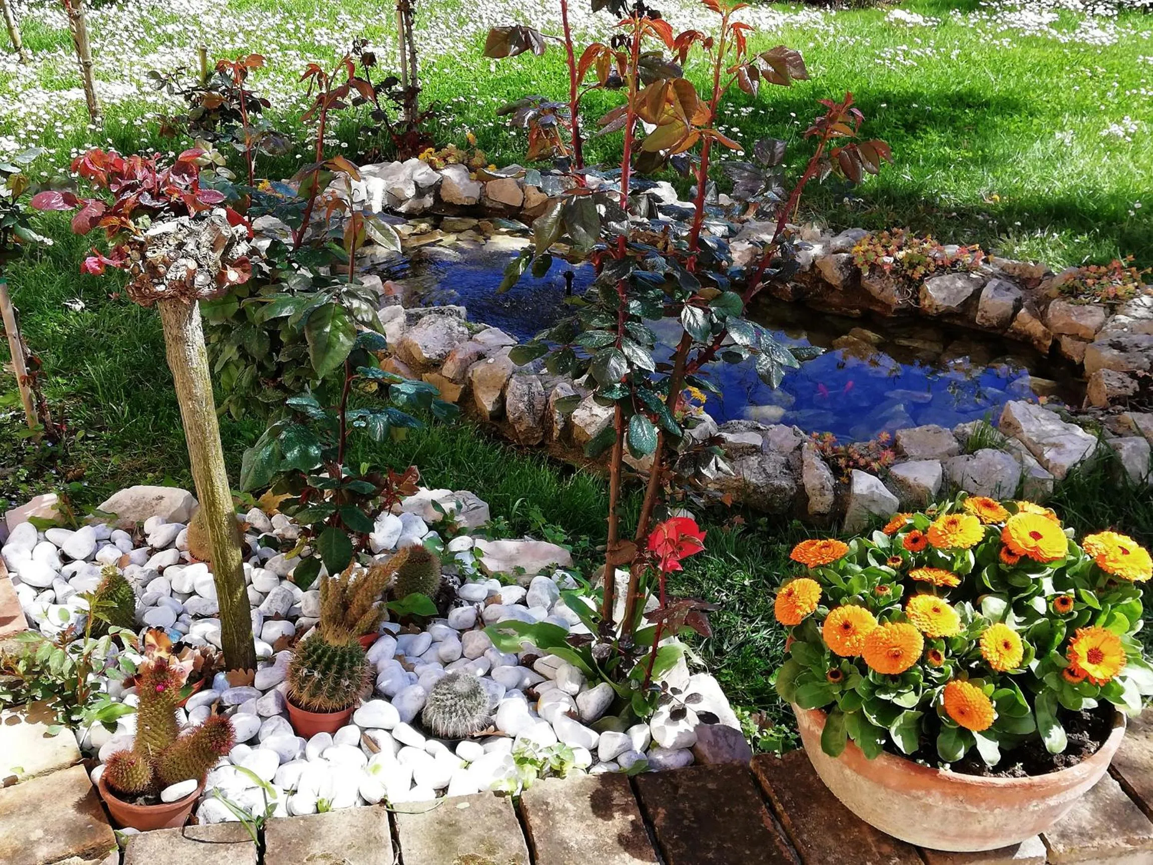 Property building in La Ginestra