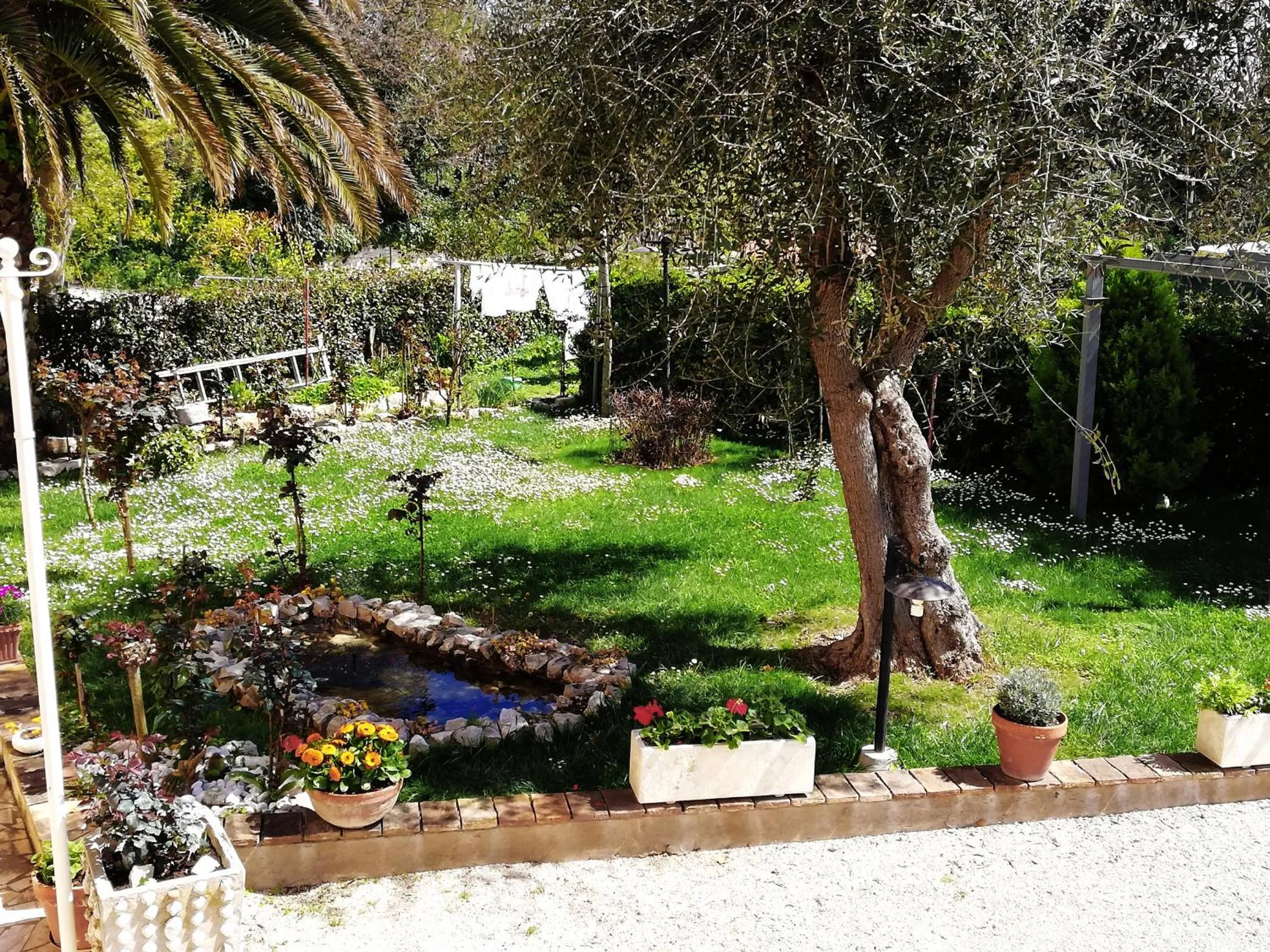 Property building in La Ginestra