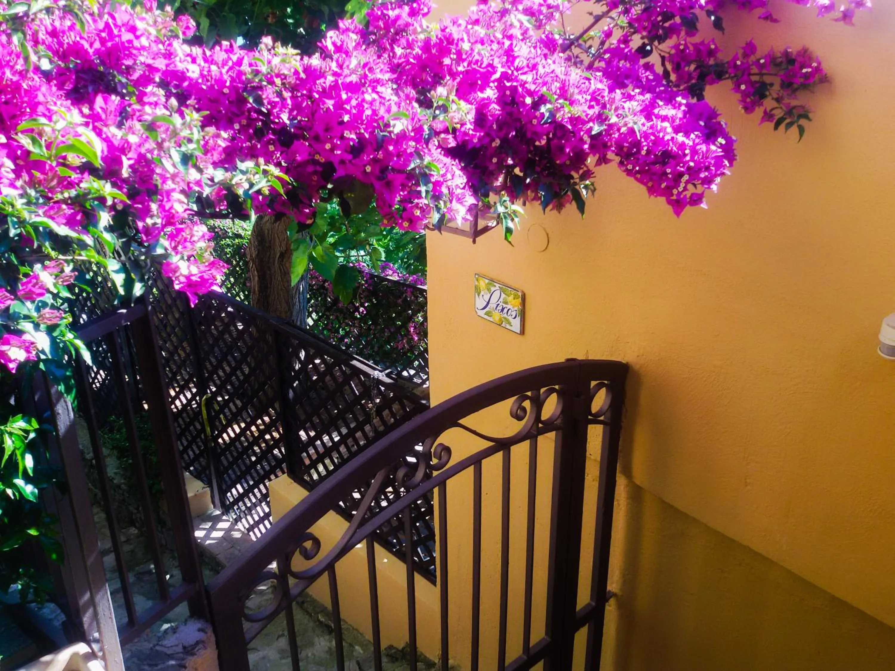 Garden in Marulivo Hotel