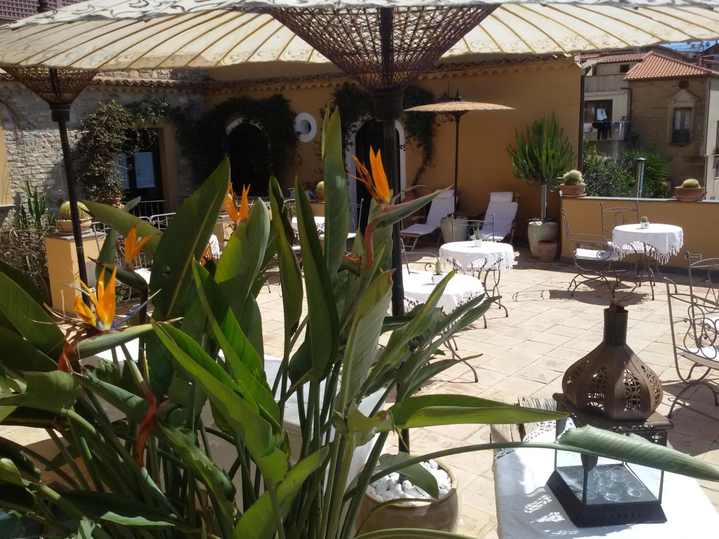 Balcony/Terrace in Marulivo Hotel