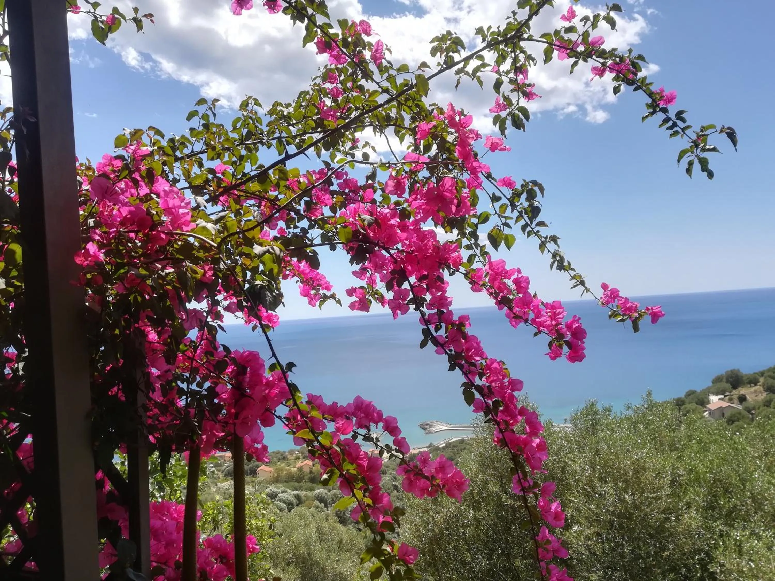 Sea view in Marulivo Hotel