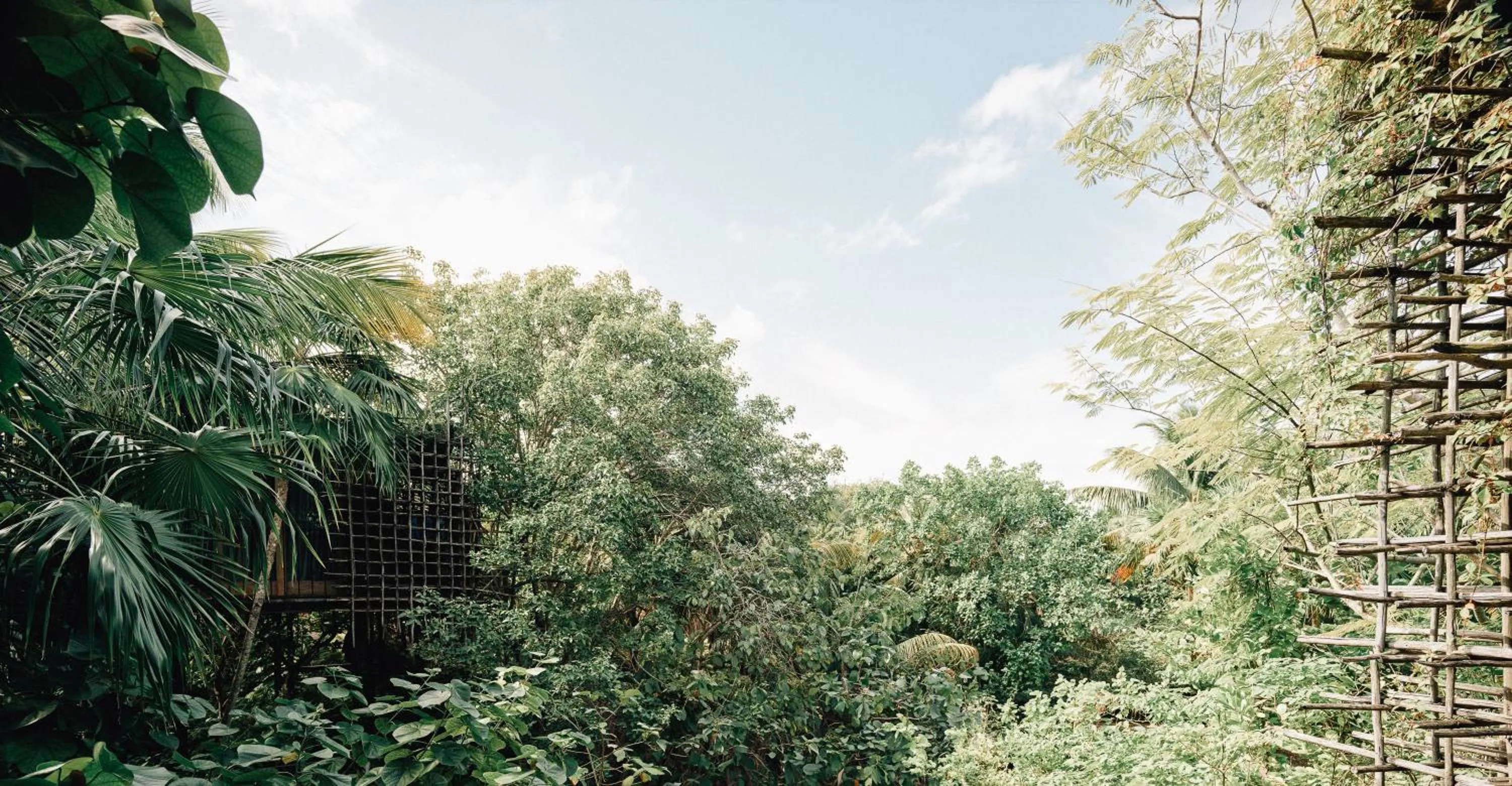 Natural landscape in Nômade Temple Tulum