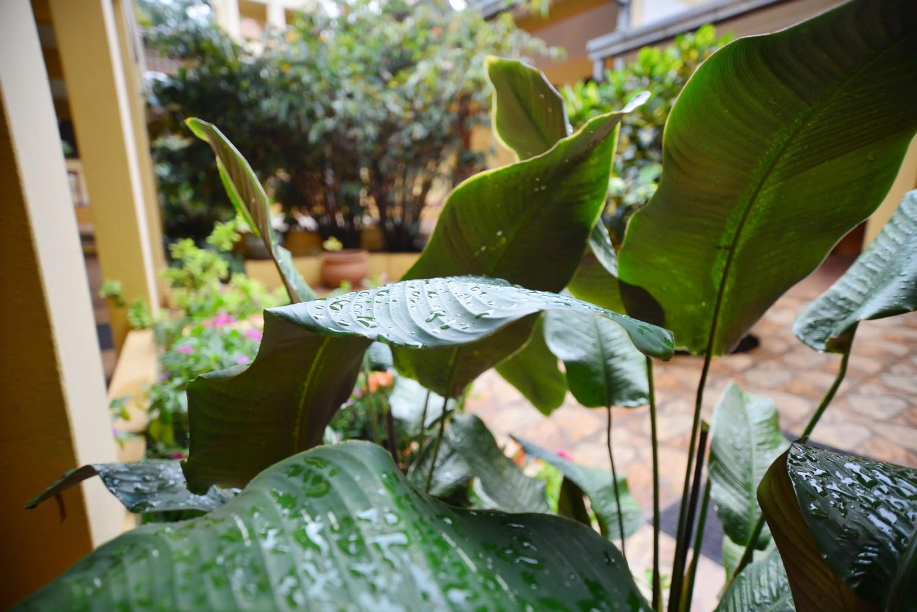 Area and facilities in Hotel Lilian