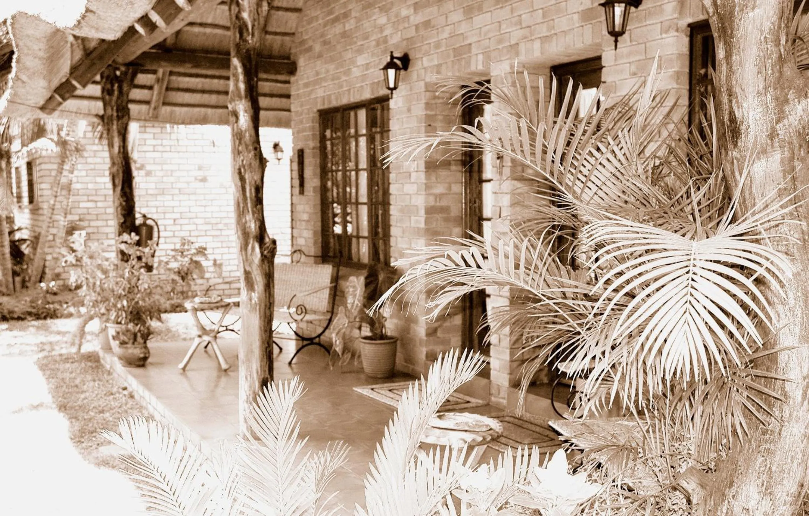 Patio in Trees Too Guest Lodge