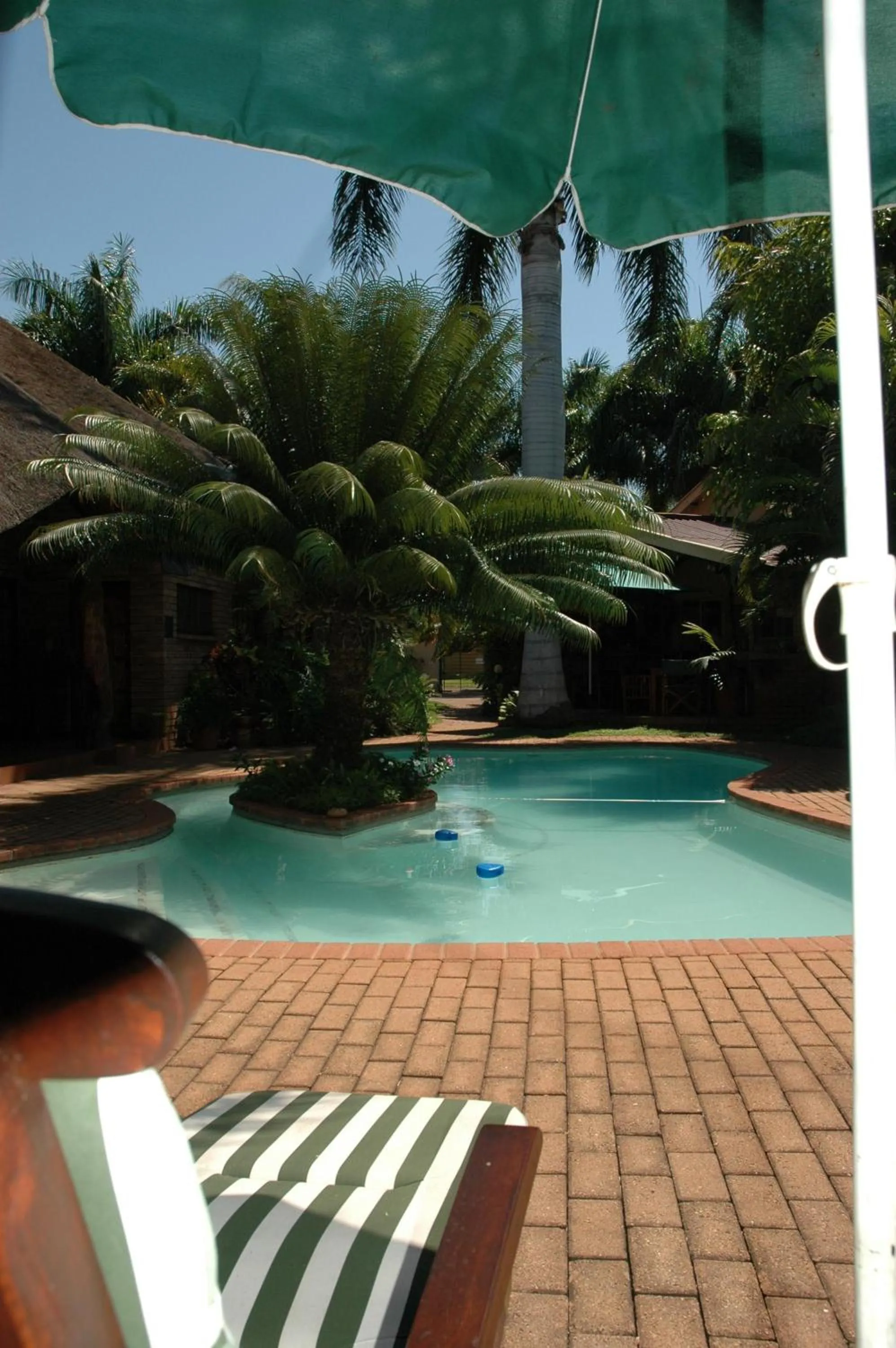 Garden in Trees Too Guest Lodge