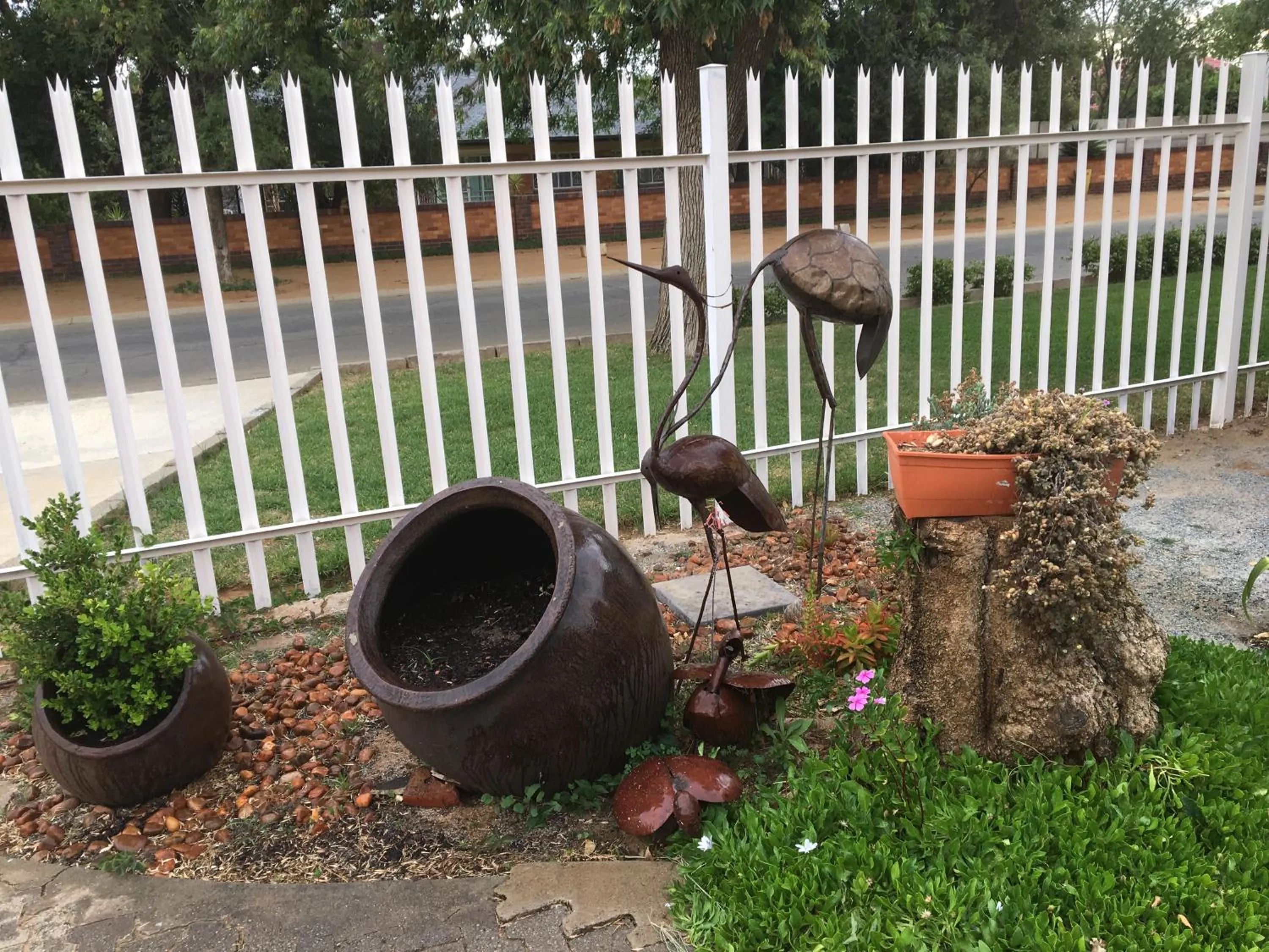 Garden view in The Lighthouse Guesthouse