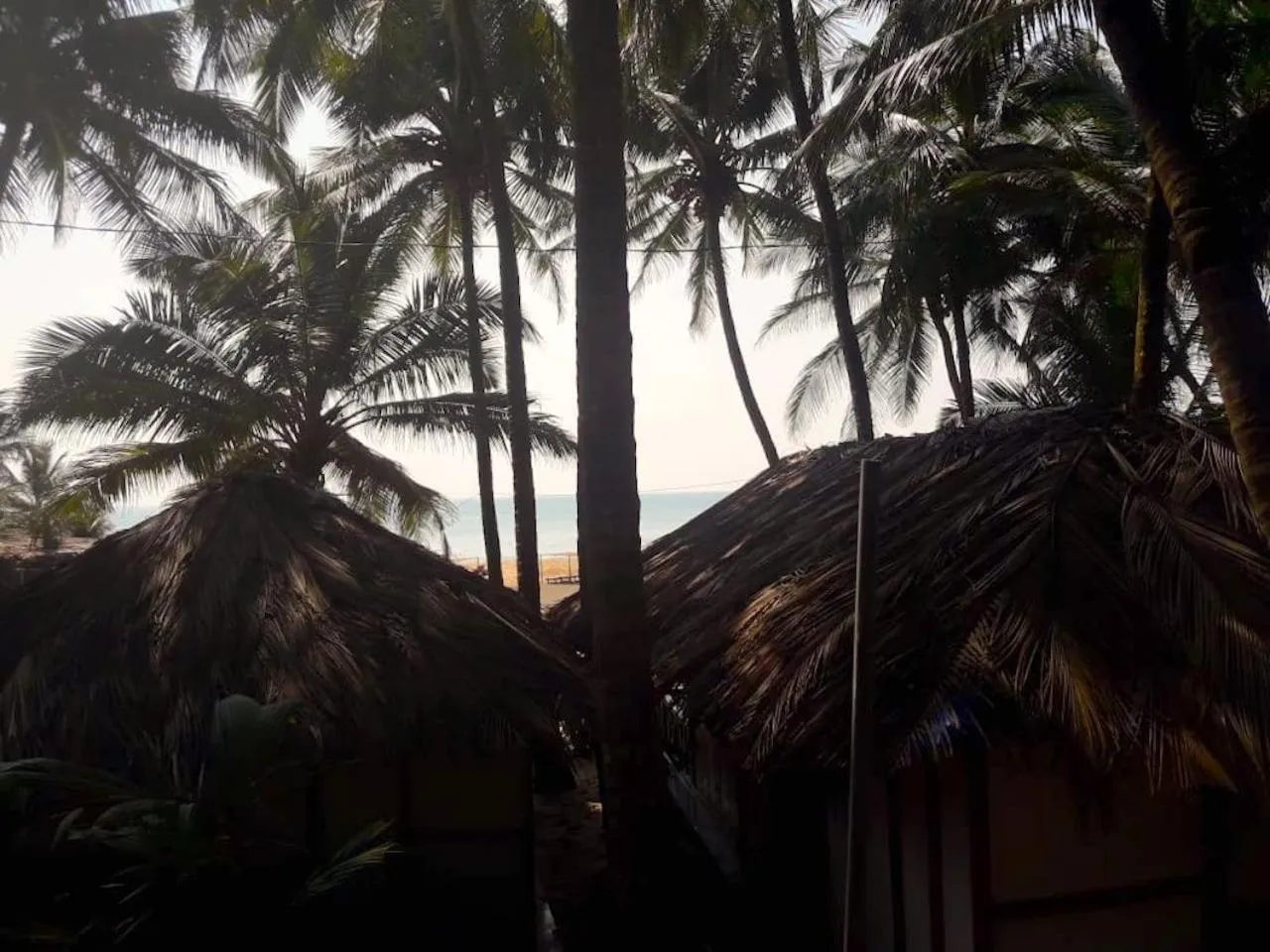 View (from property/room) in Blue Lagoon Resort Goa
