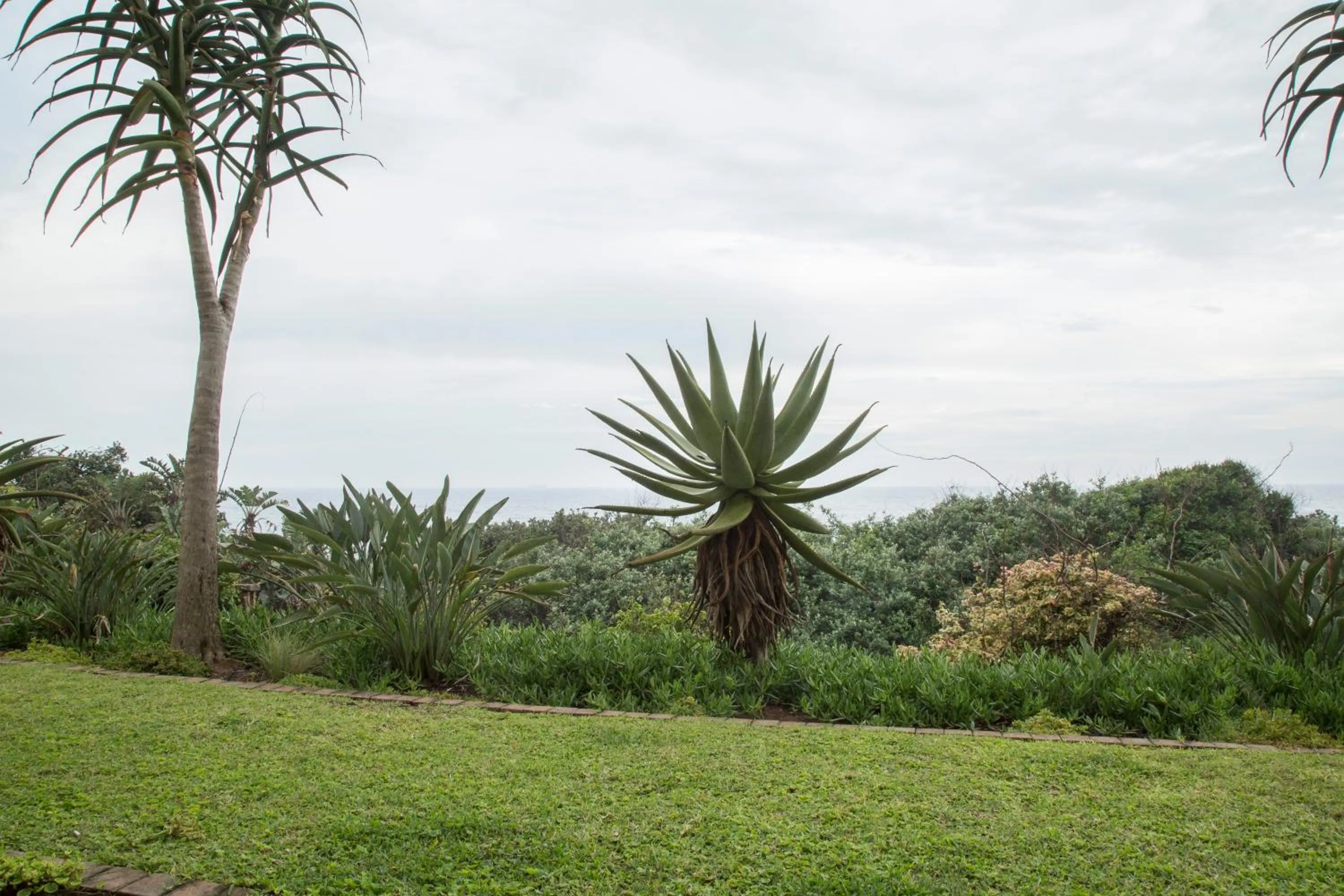 Pets in Misty Blue Bed and Breakfast