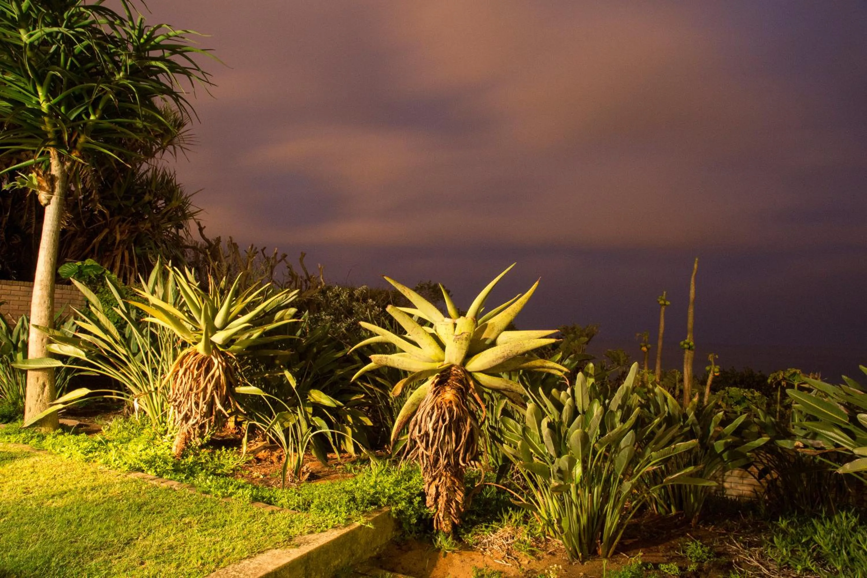 Garden in Misty Blue Bed and Breakfast