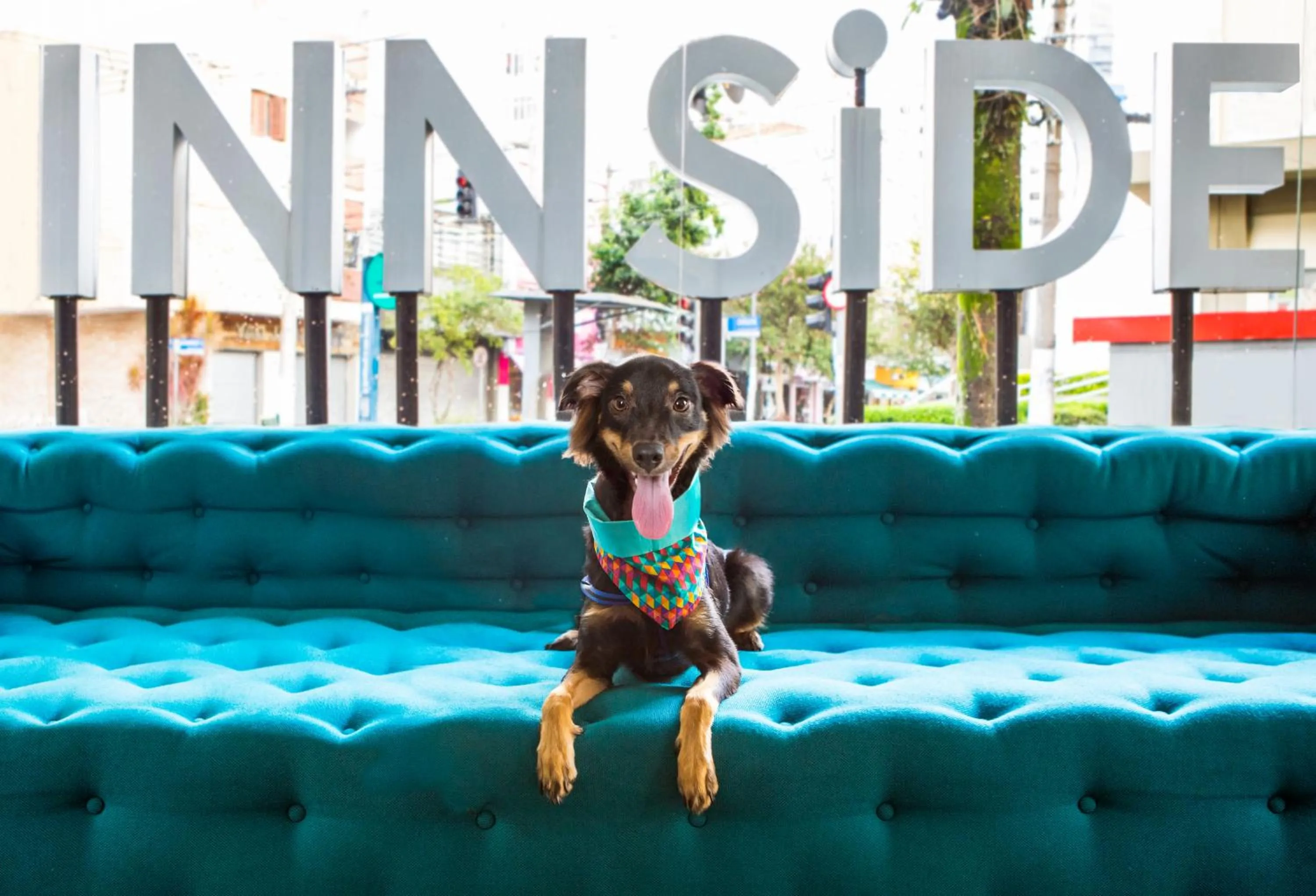 Pets in INNSiDE by Meliá São Paulo ITAIM