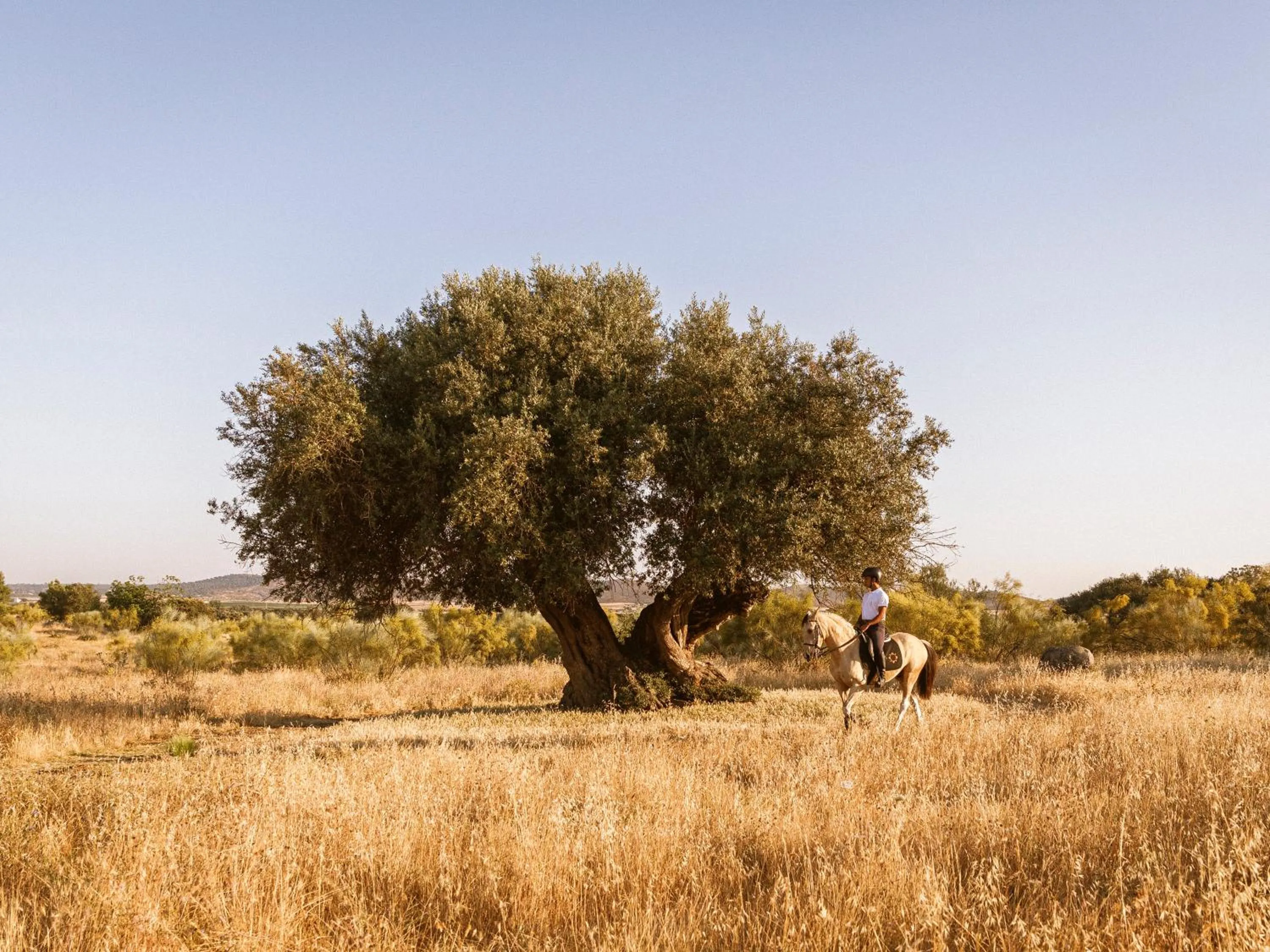 Natural landscape in São Lourenço do Barrocal