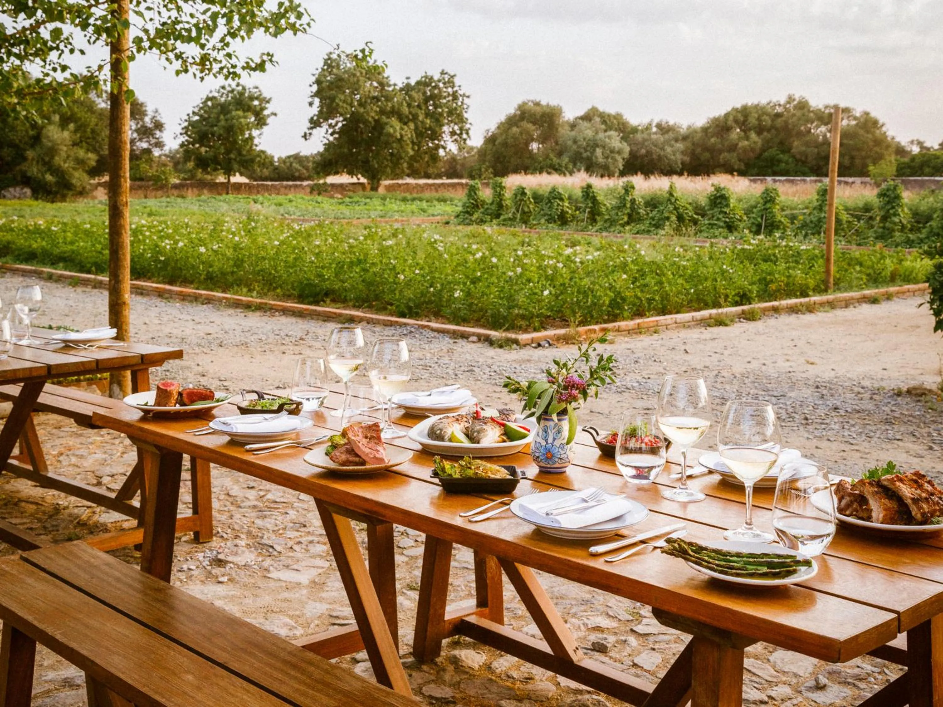 Restaurant/places to eat in São Lourenço do Barrocal