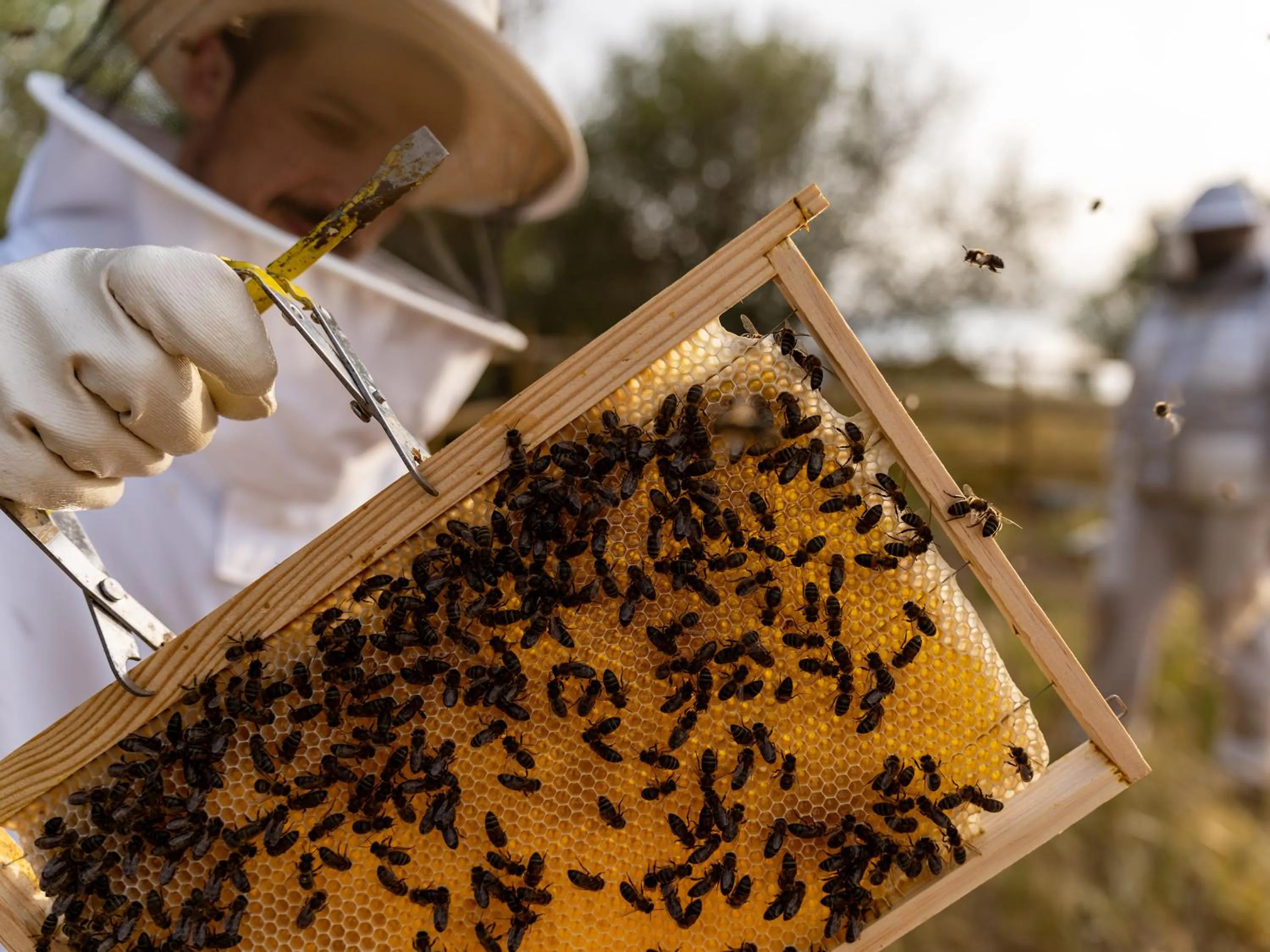 Day in São Lourenço do Barrocal