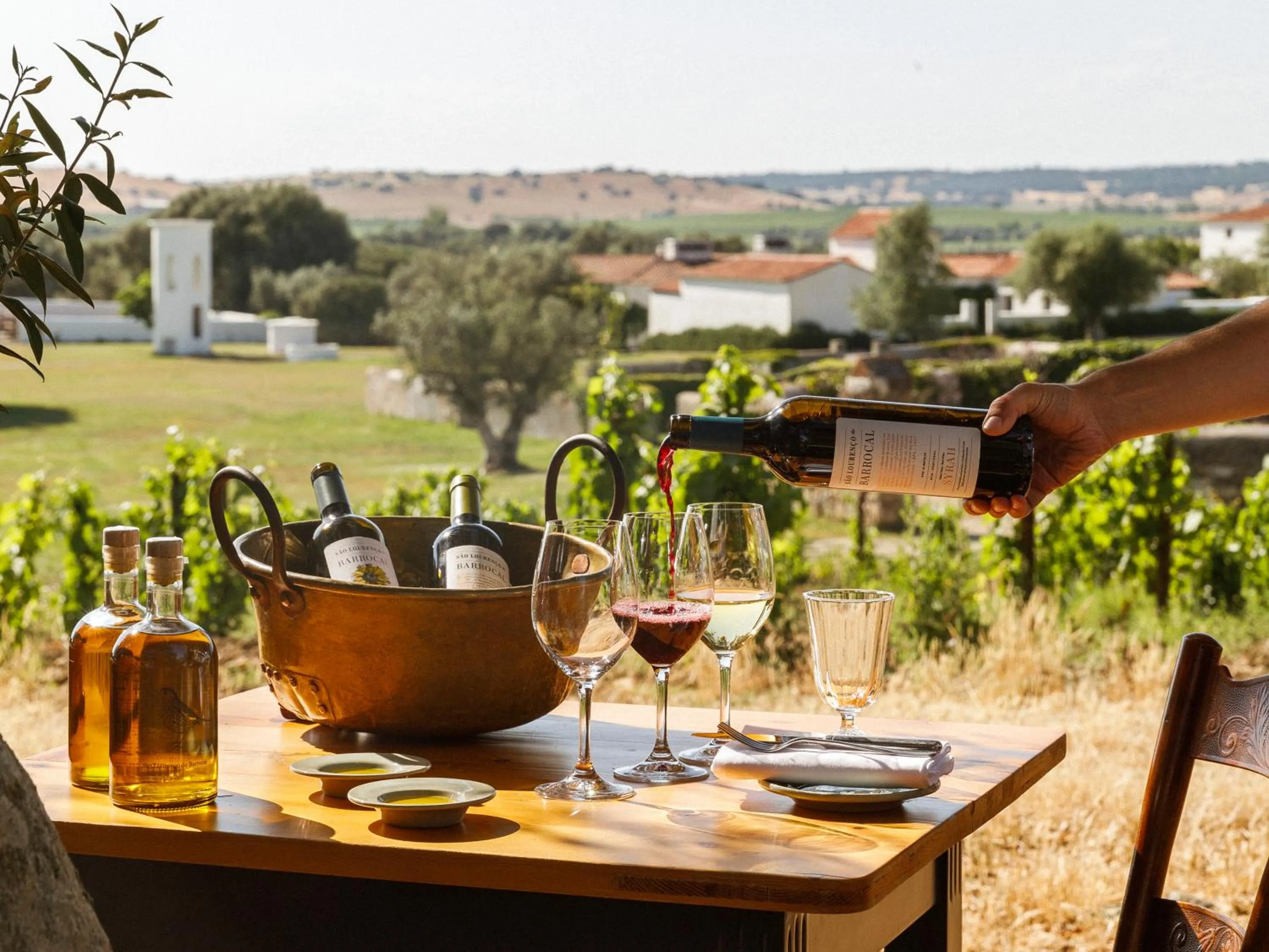Activities in São Lourenço do Barrocal