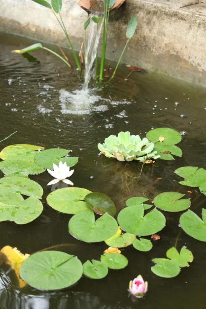 Other in Le Moulinage