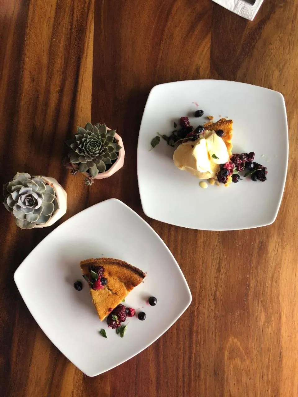 FCH Hotel Expo Adults only