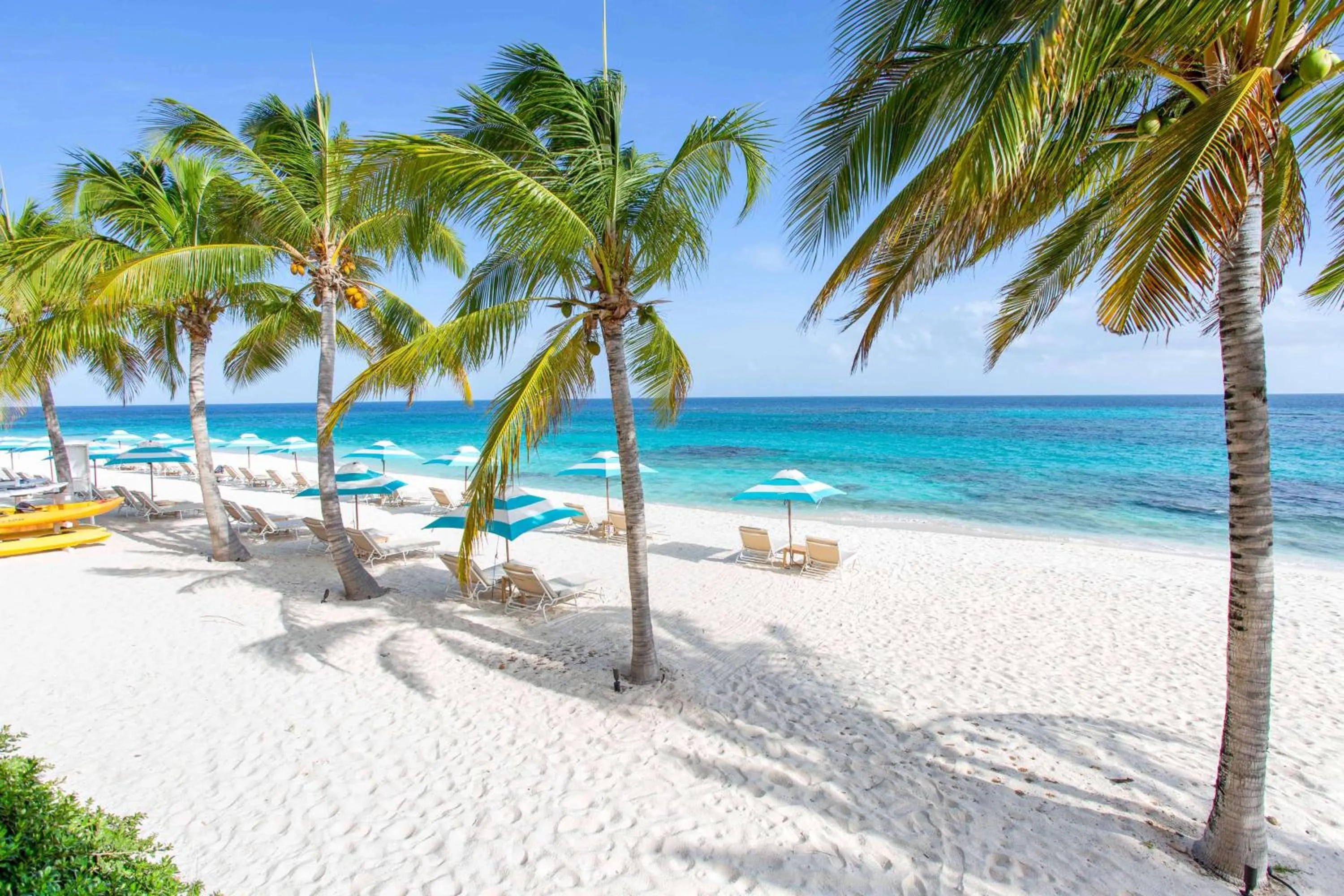 Pool view in Zemi Beach House, LXR Hotels & Resorts