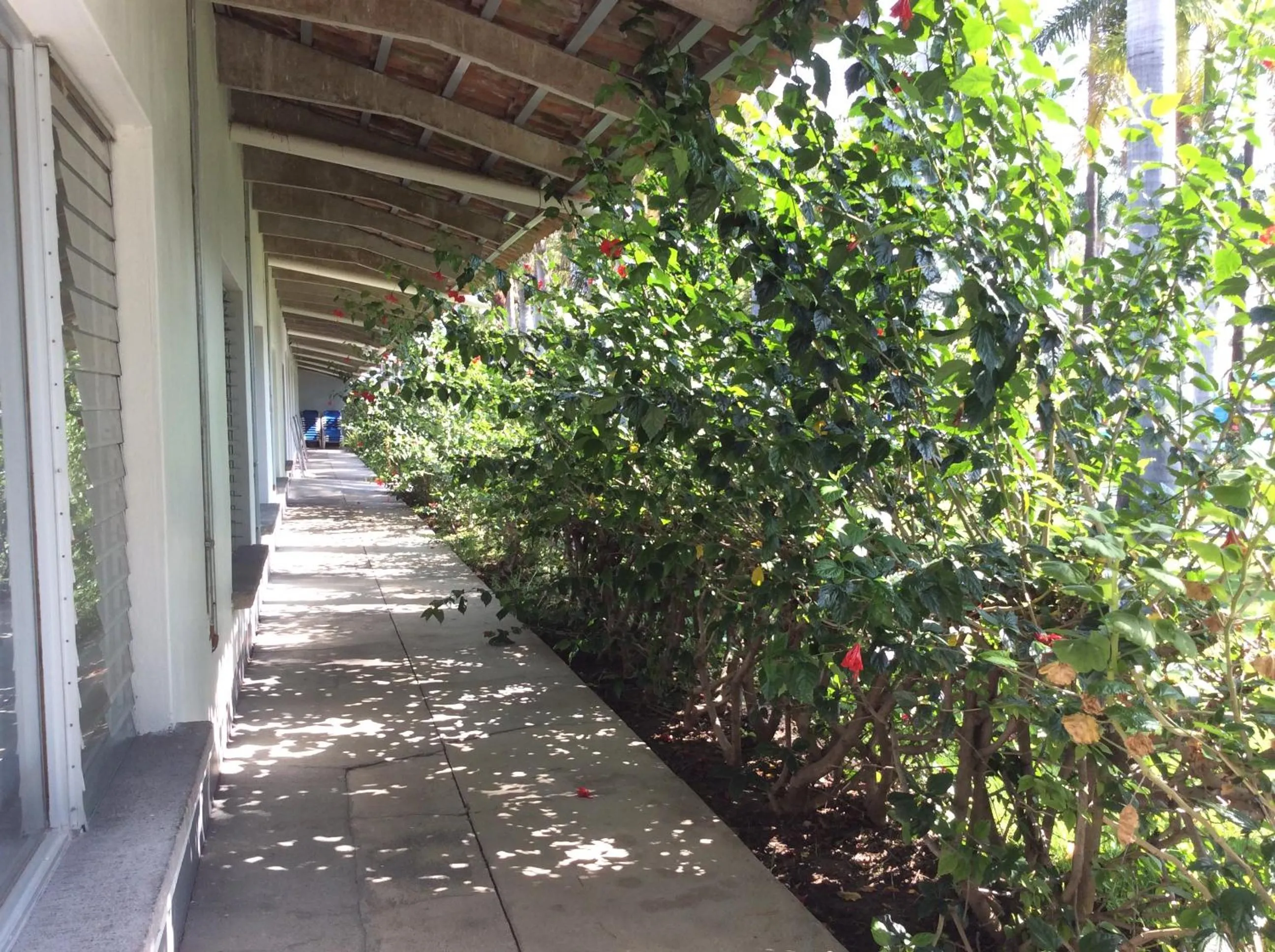Balcony/Terrace in Hotel Y Parque Acuático La Caldera