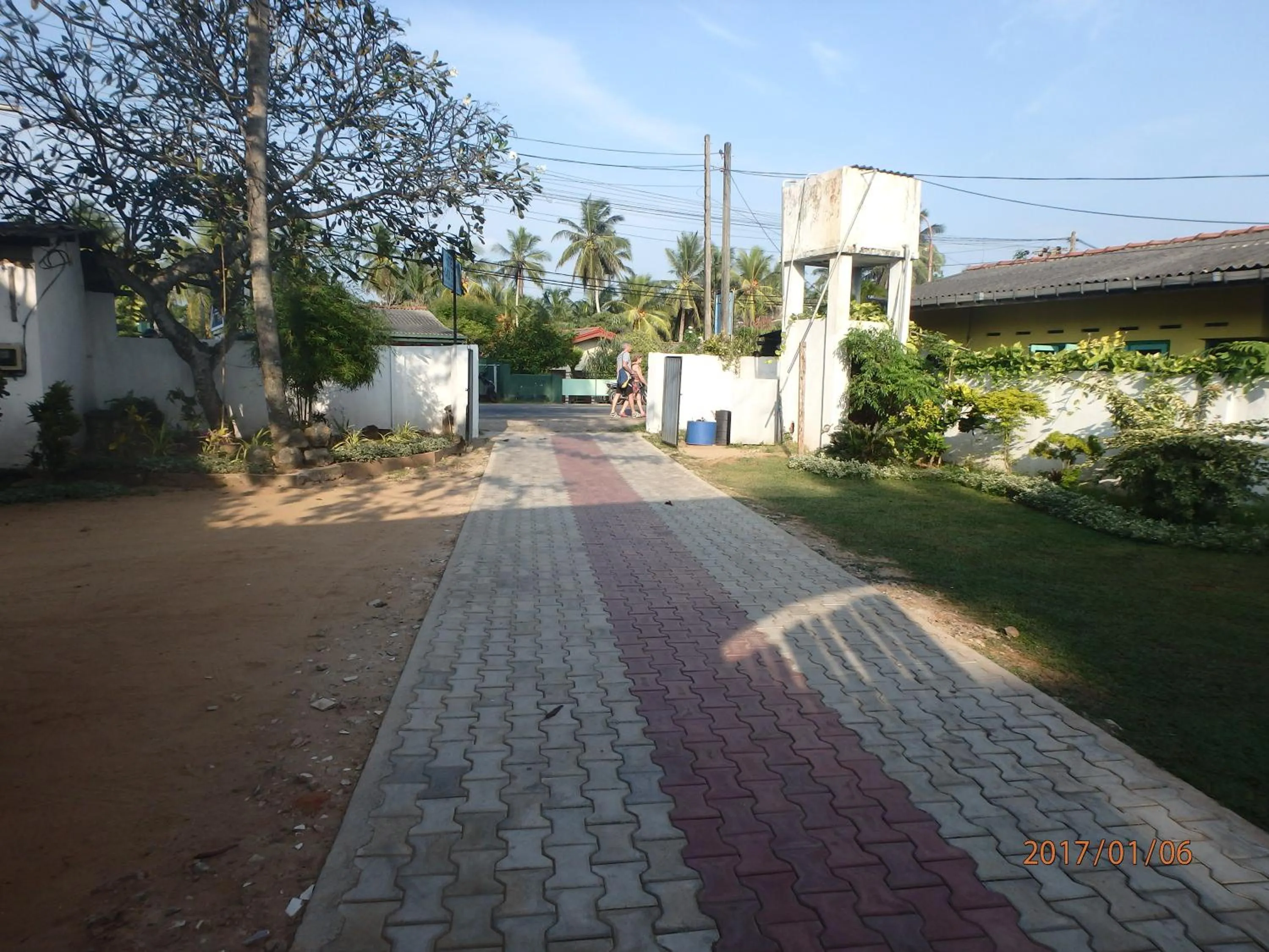 Garden in Hansa Surf Hotel