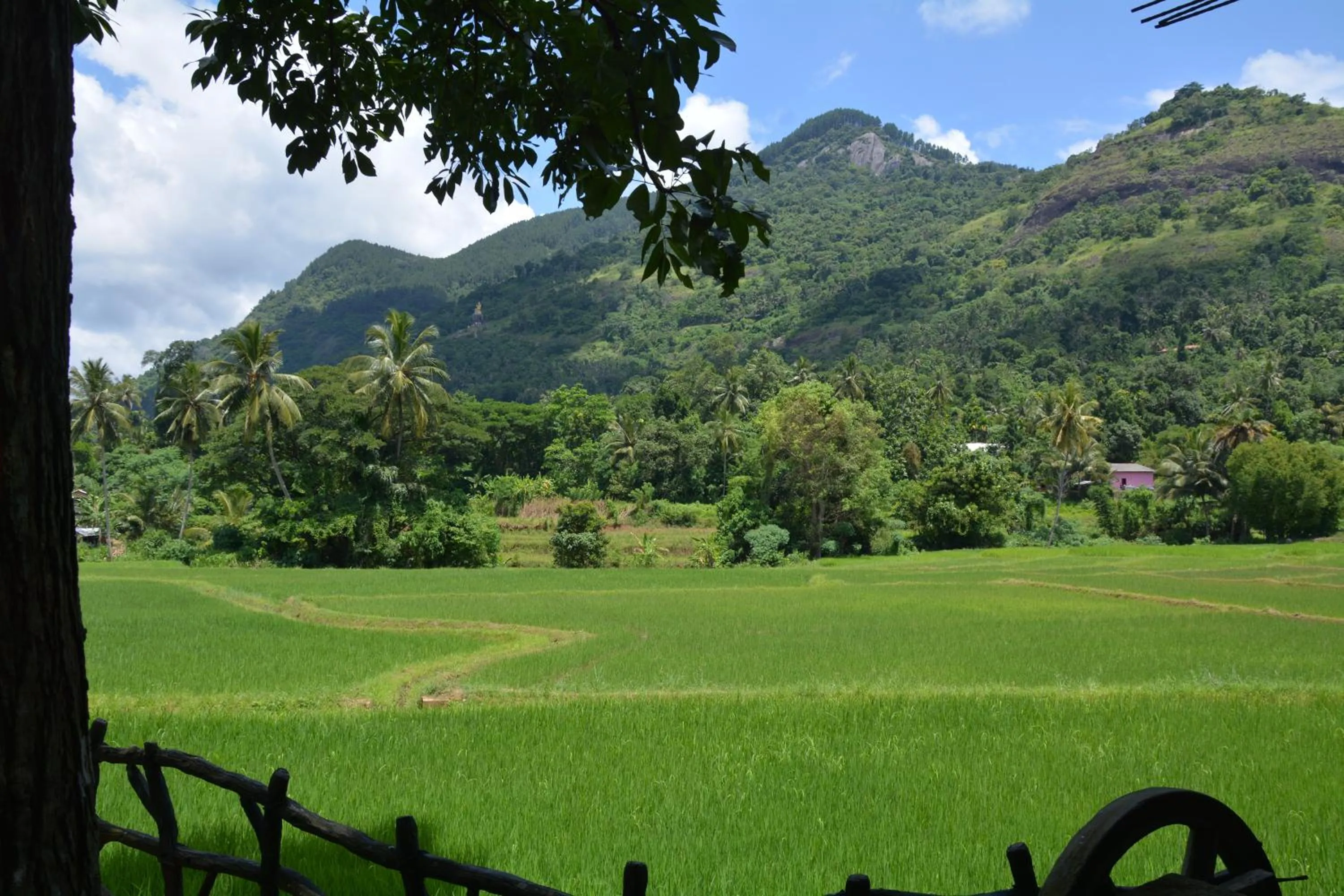 Natural landscape in Hotel Spring View