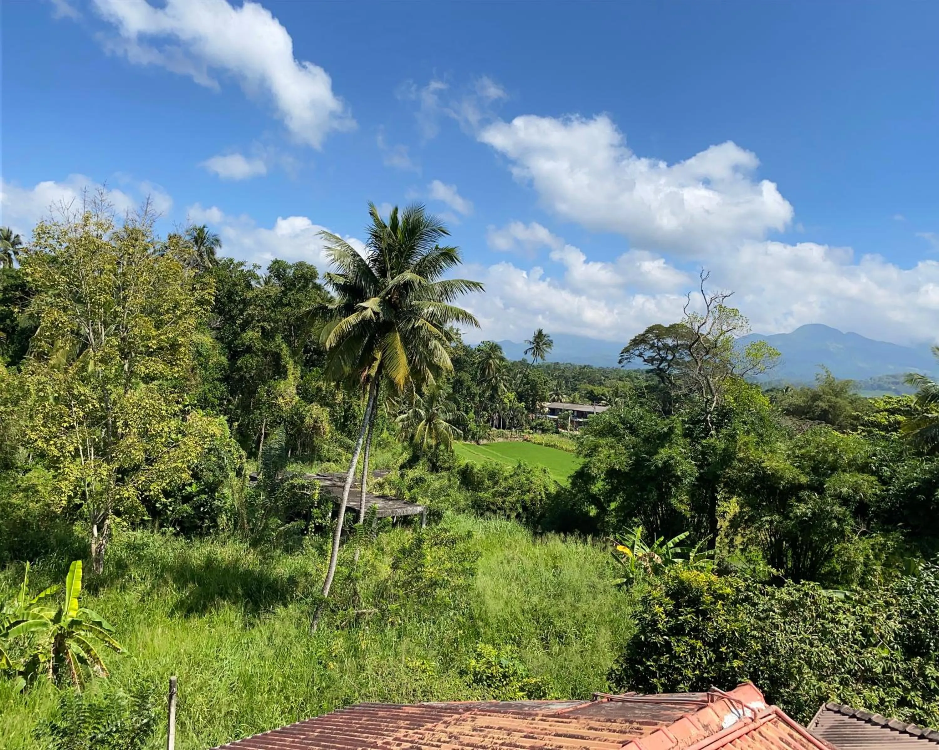 Natural landscape in Hotel Spring View