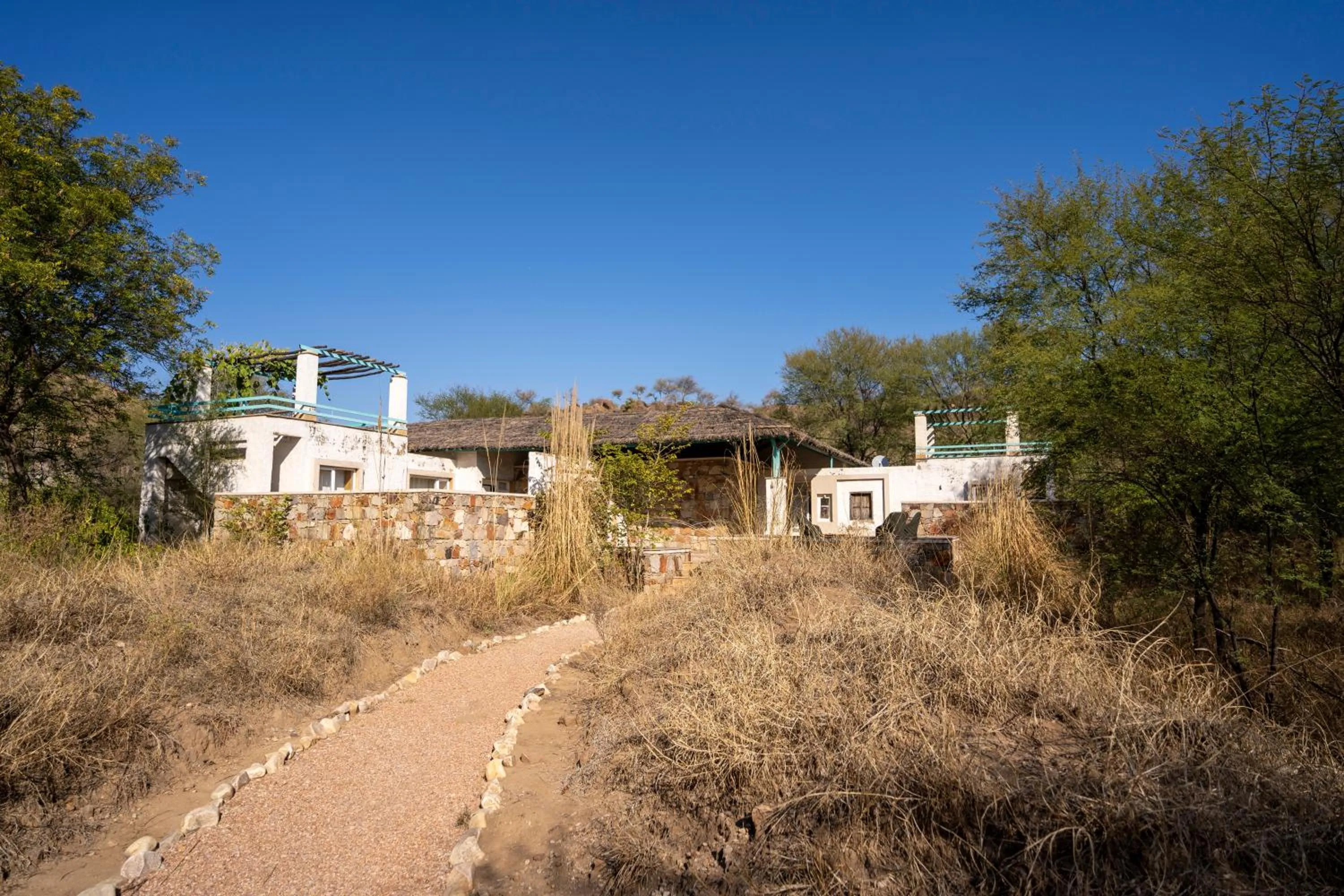 Garden in Trees N Tigers Luxury Wildlife Lodge