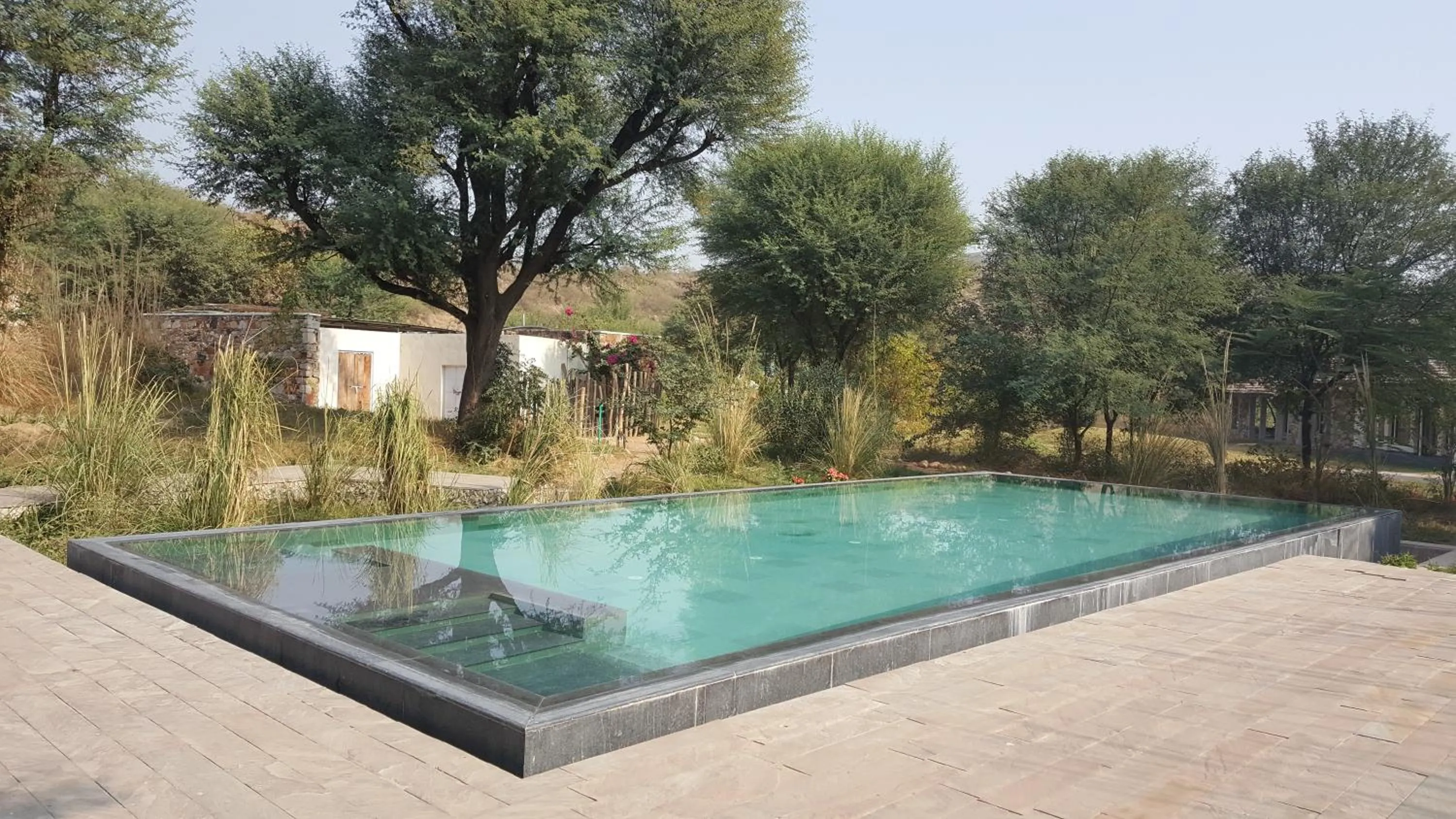 Pool view in Trees N Tigers Luxury Wildlife Lodge